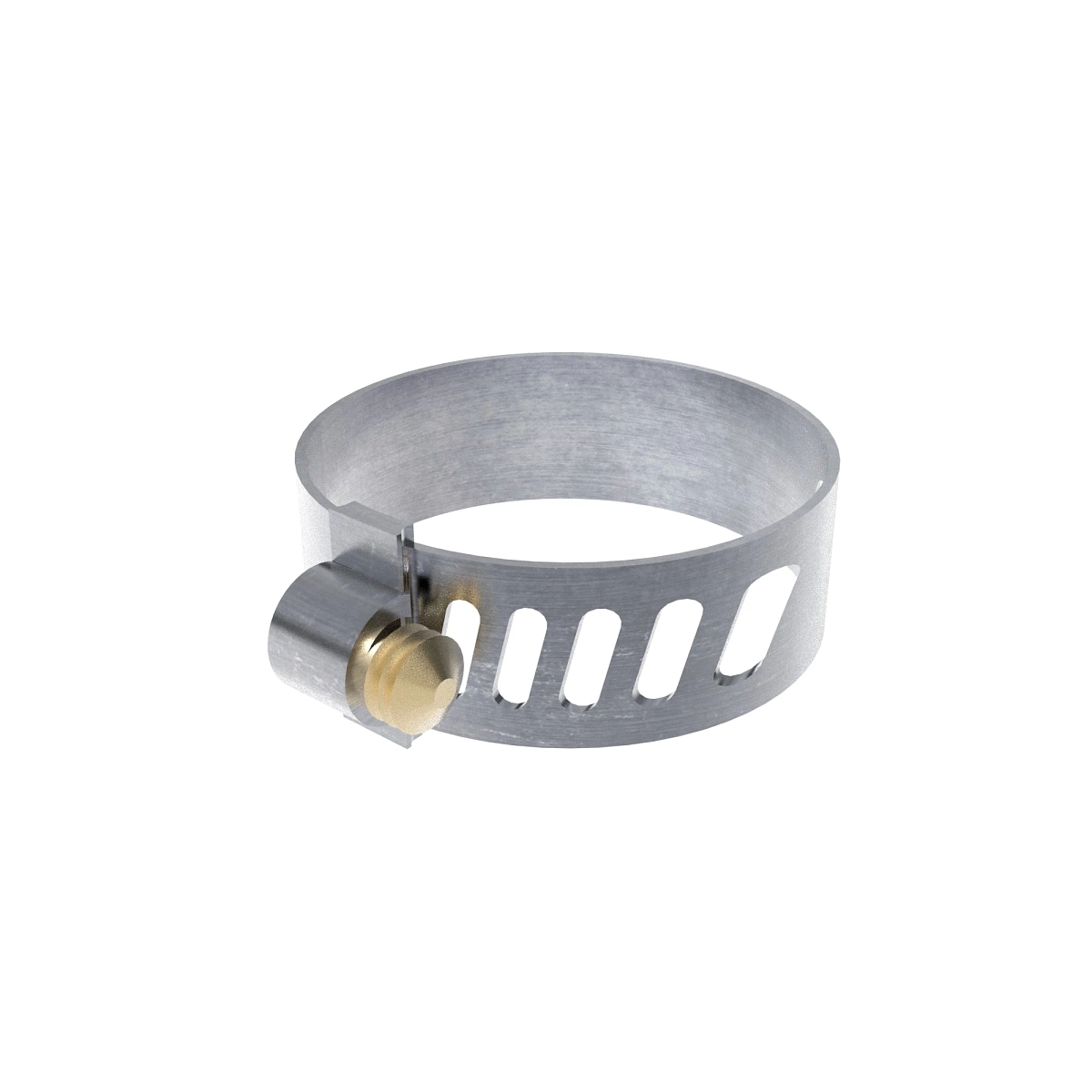 Worm Gear Clamp Type "F"