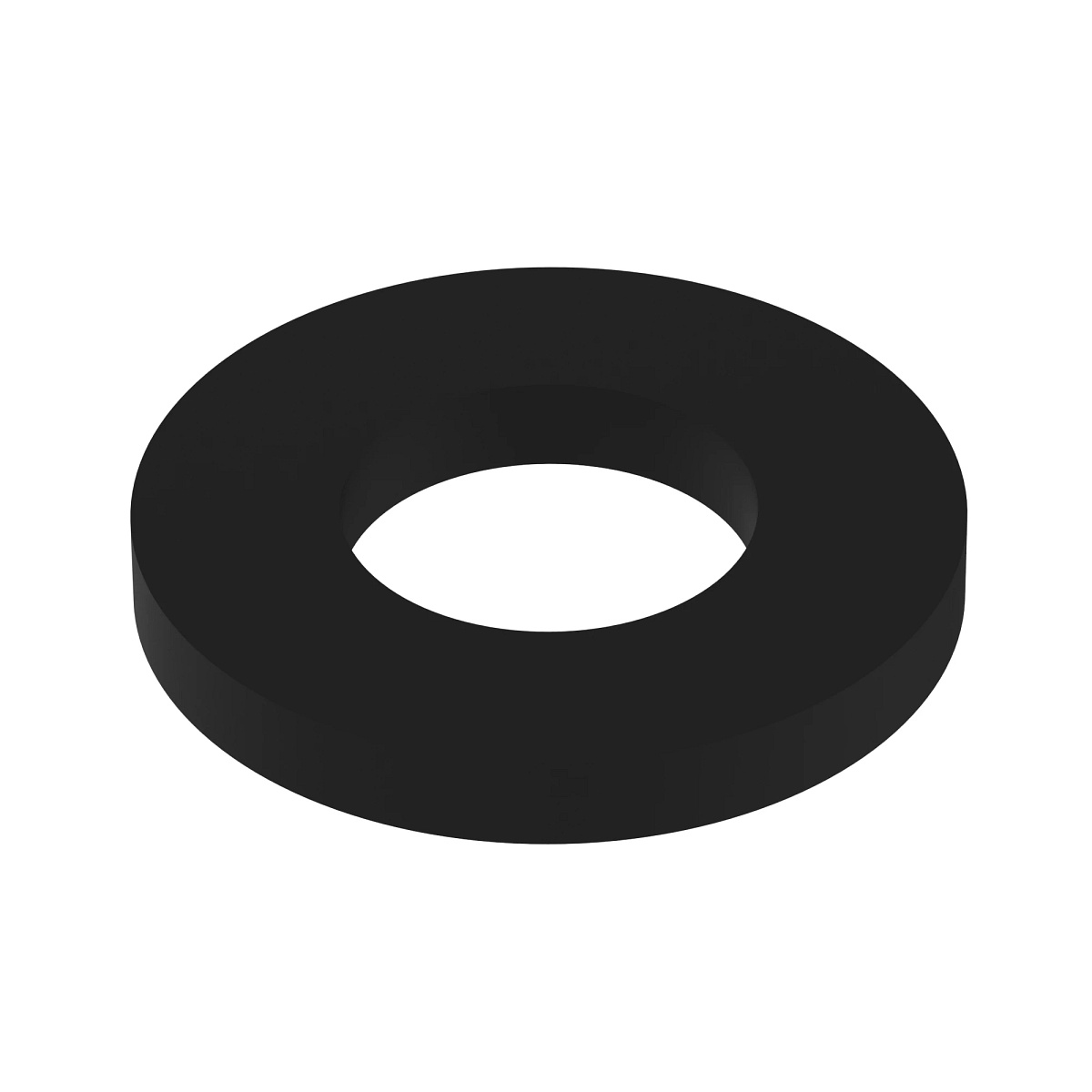 Viton Washer