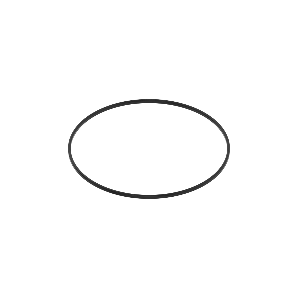 Seal, Piston