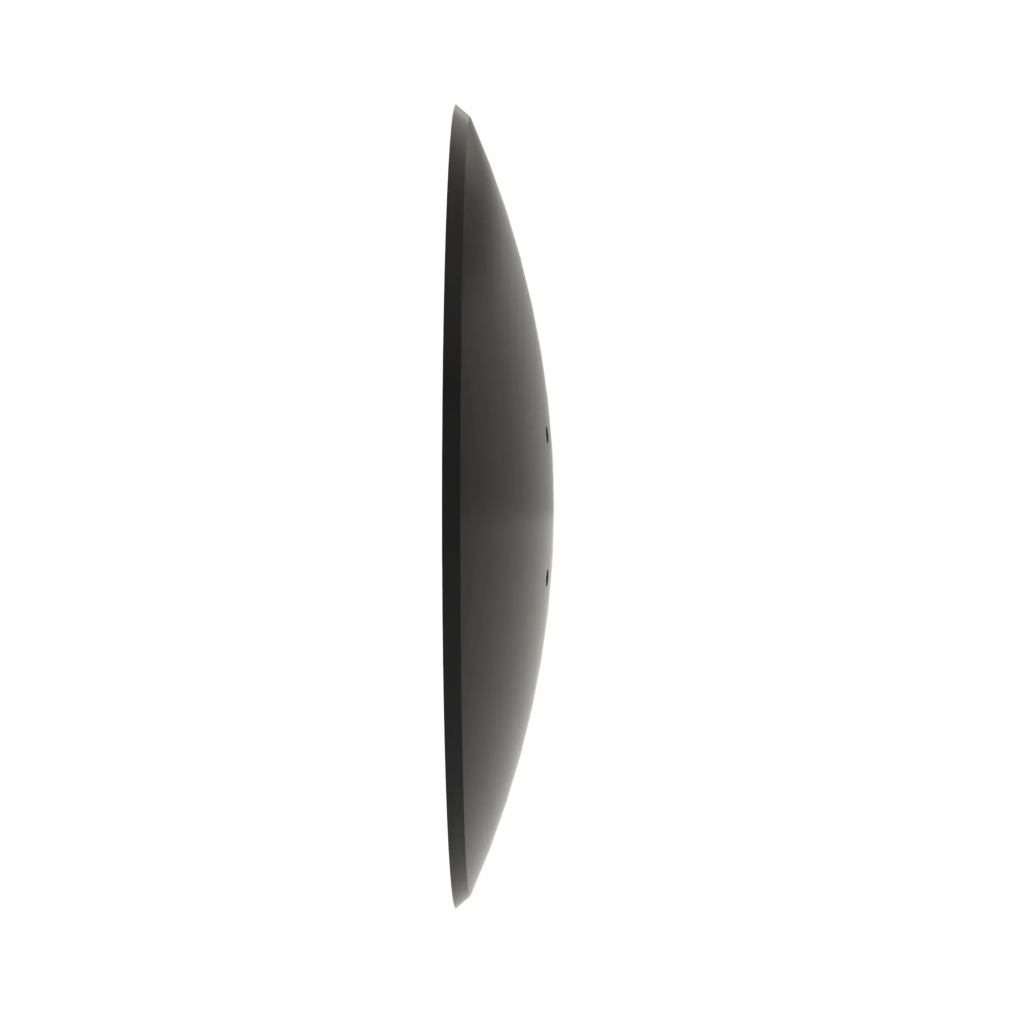 Disk