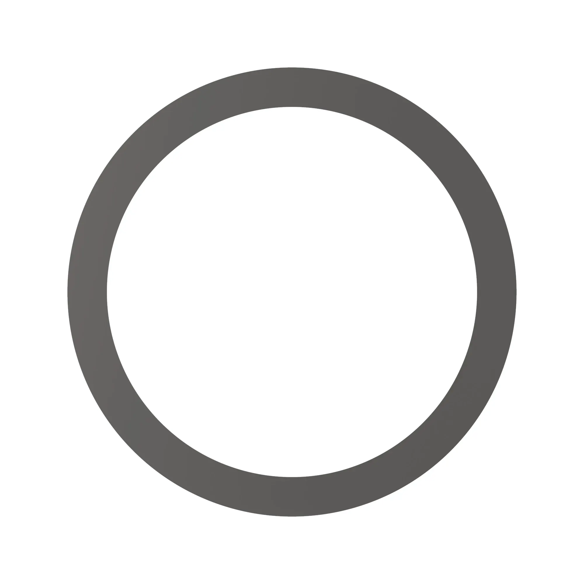 Thrust Washer