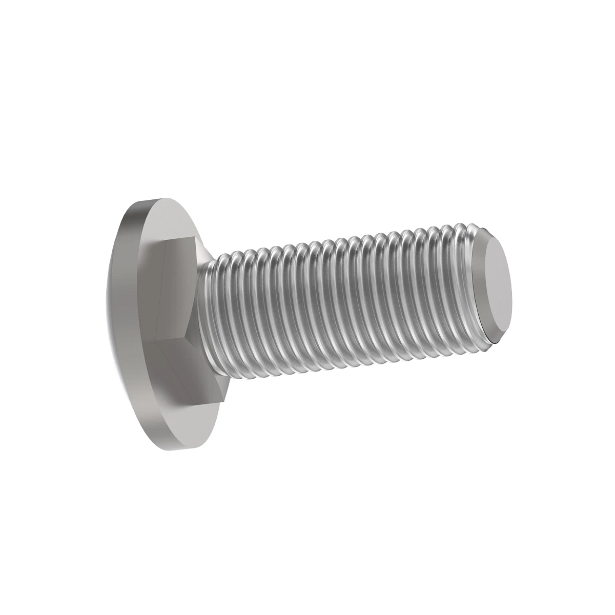 BOLT, CUP HEAD SQUARE NECK