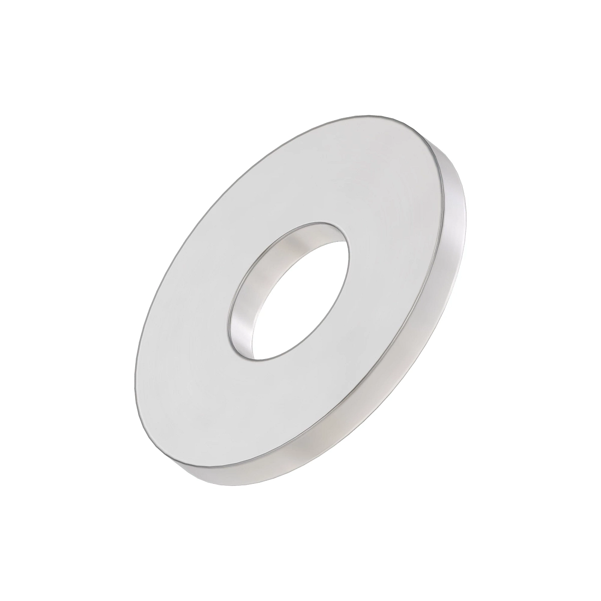 Washer, Flat .313 Ss