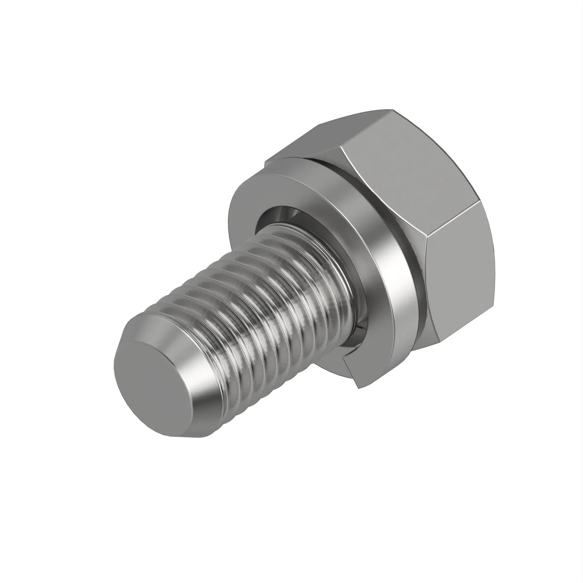 Screw With Washer