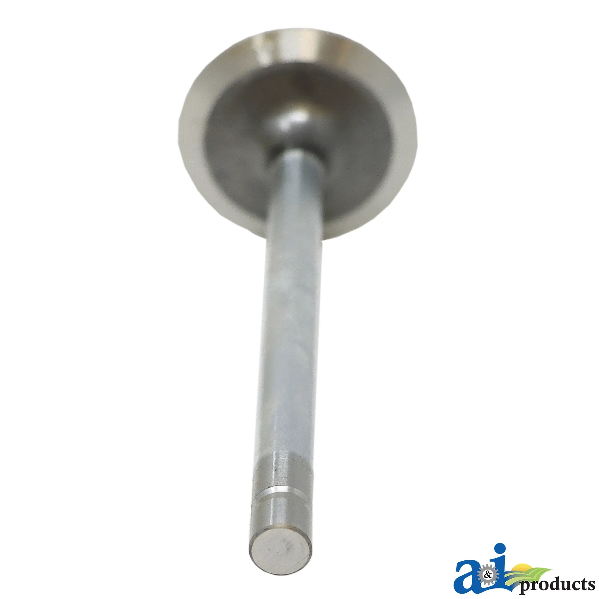 Exhaust Valve