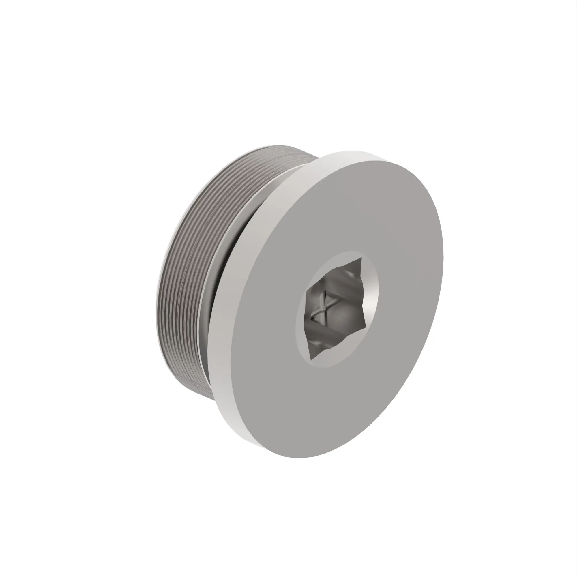 FITTING PLUG, O RING PORT