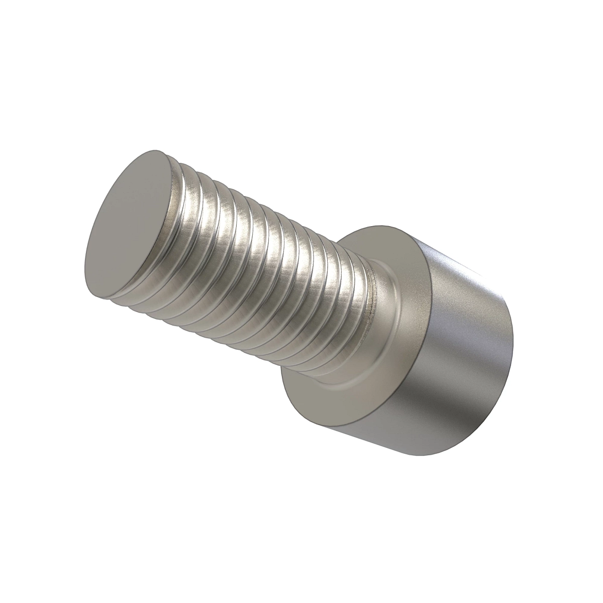 Screw, Hex Socket Head, Metric