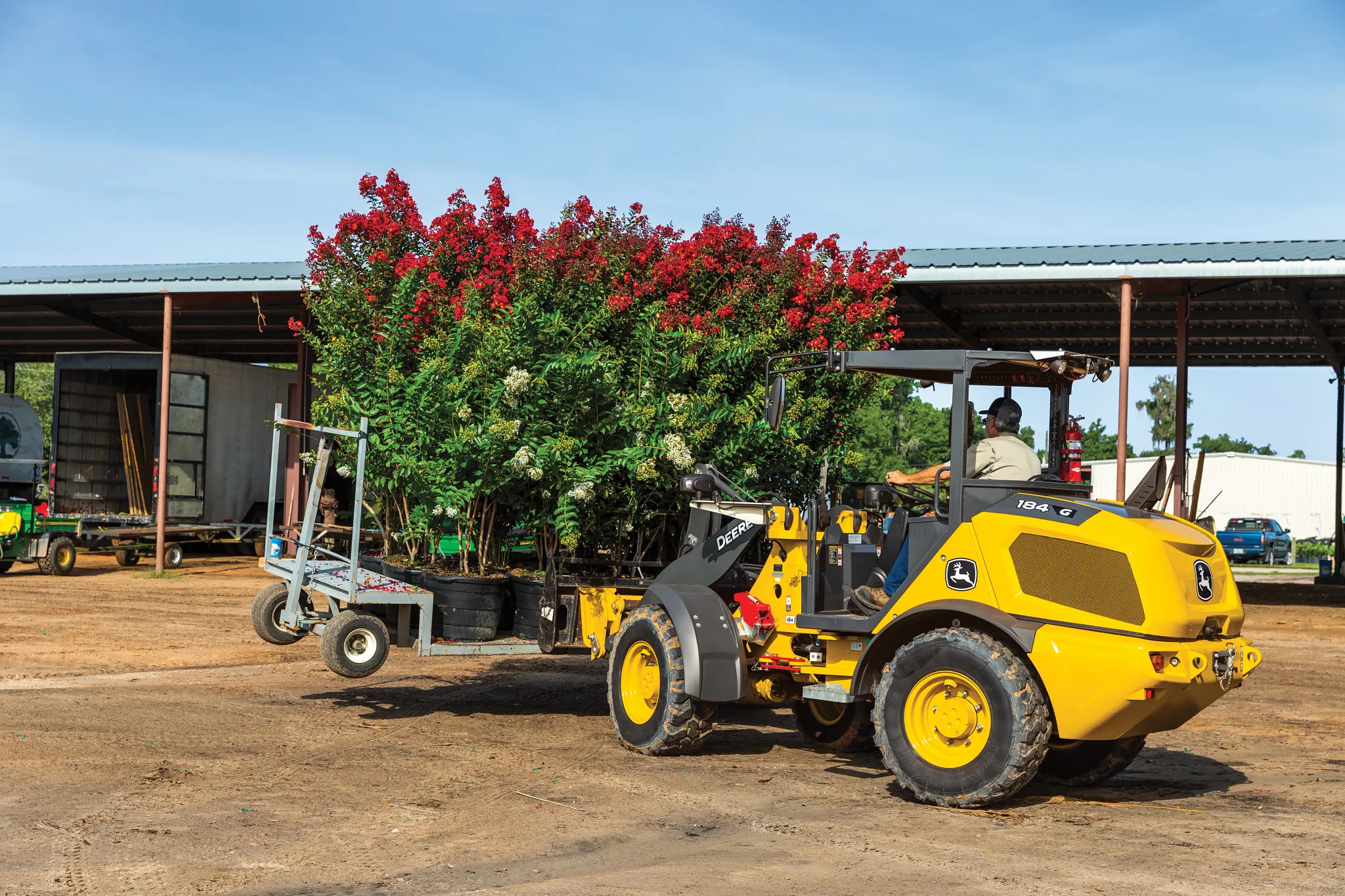 A wheel loader using front forks to transport large potted trees across a dirt yard, with an open-sided storage building and additional equipment visible in the background.