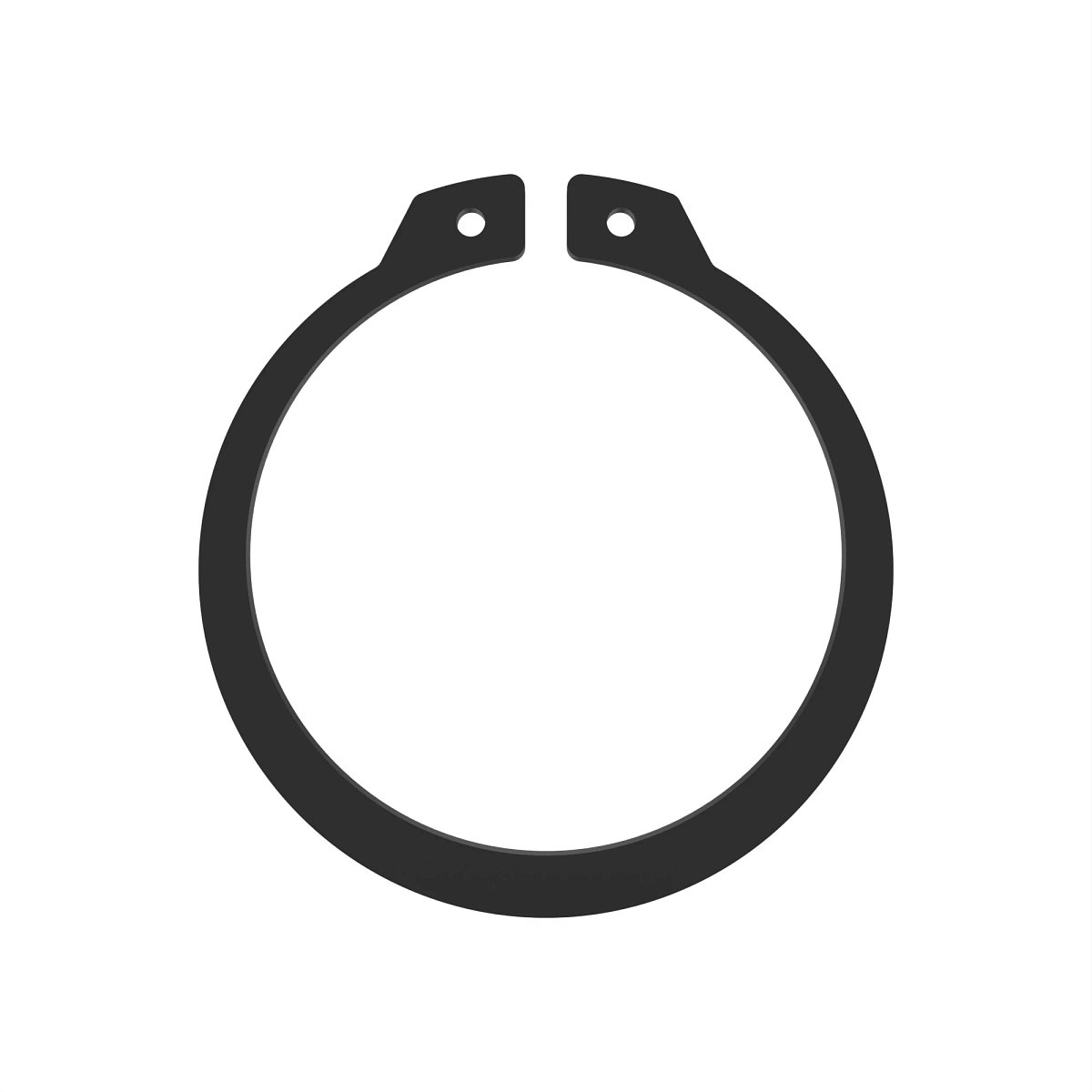 Snap Ring