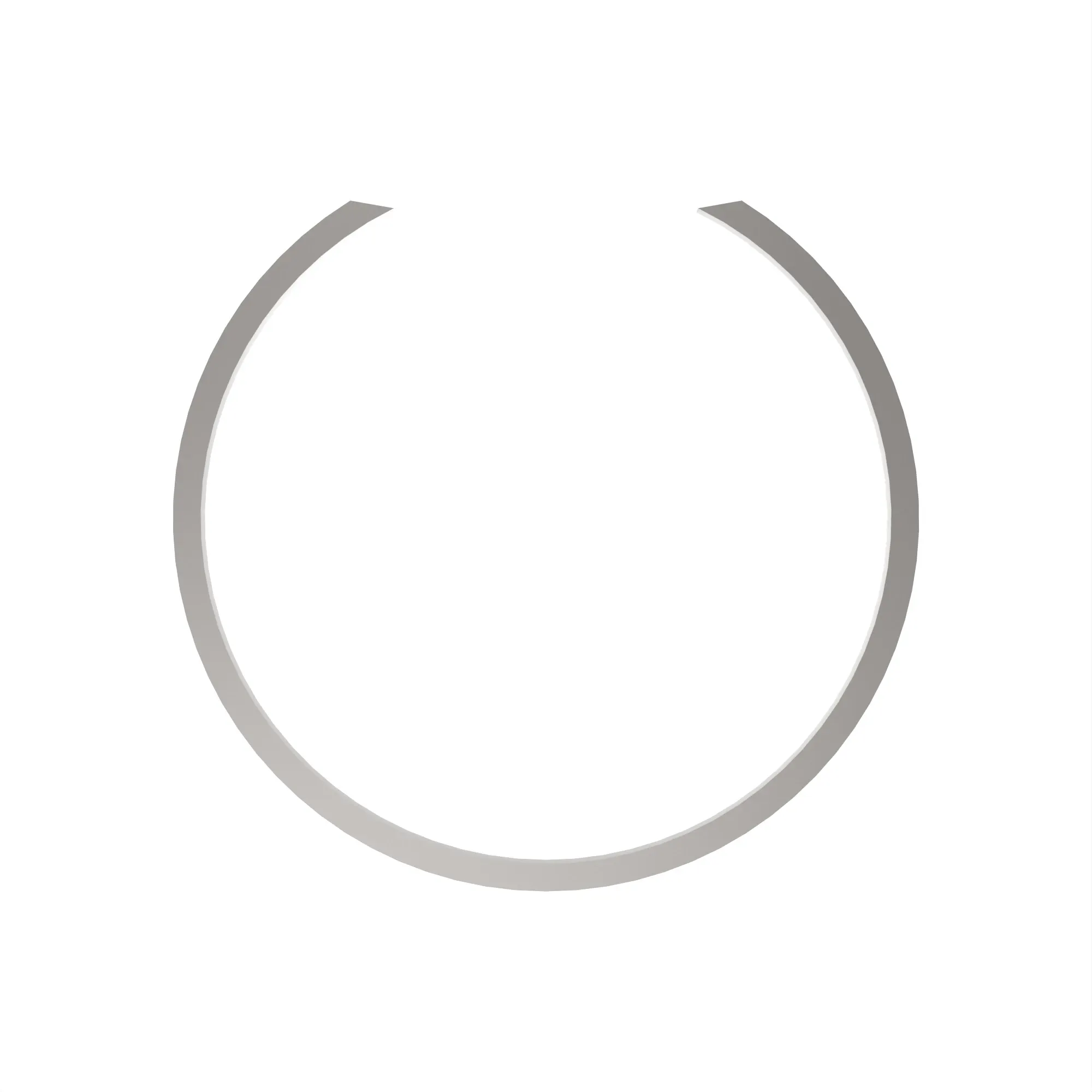 Snap Ring