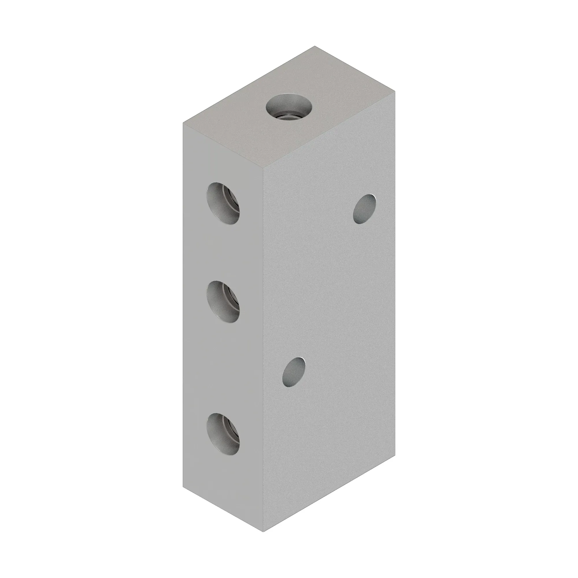 Manifold