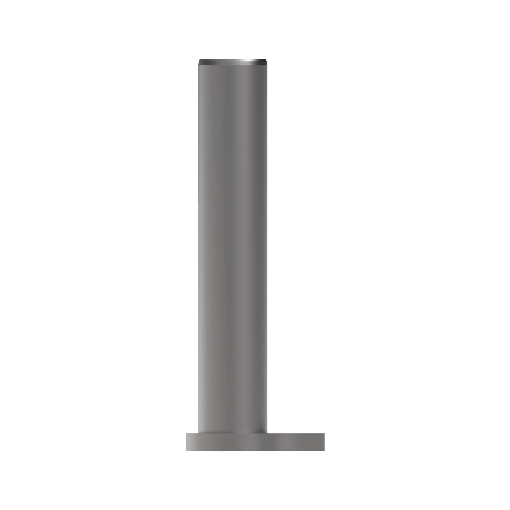 Pin