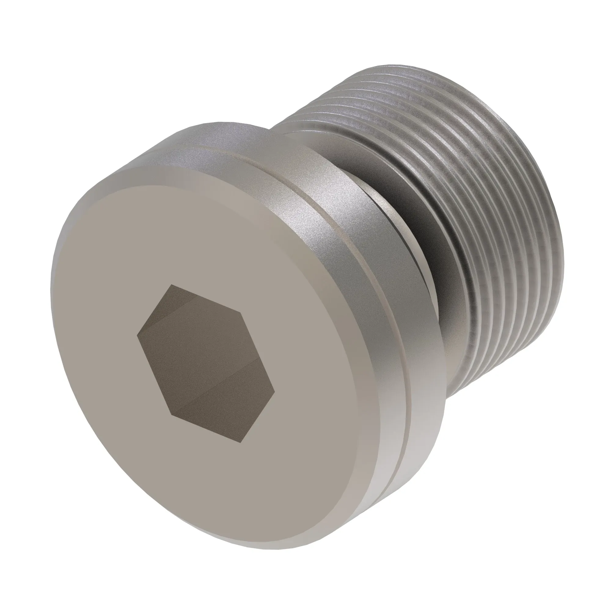 Plug, Metric (Plih) With O-Ring
