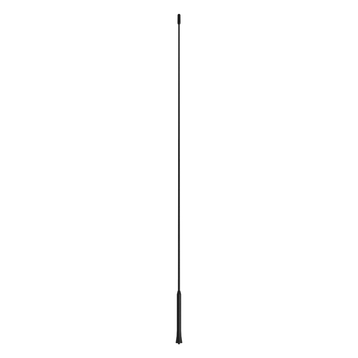 ANTENNA