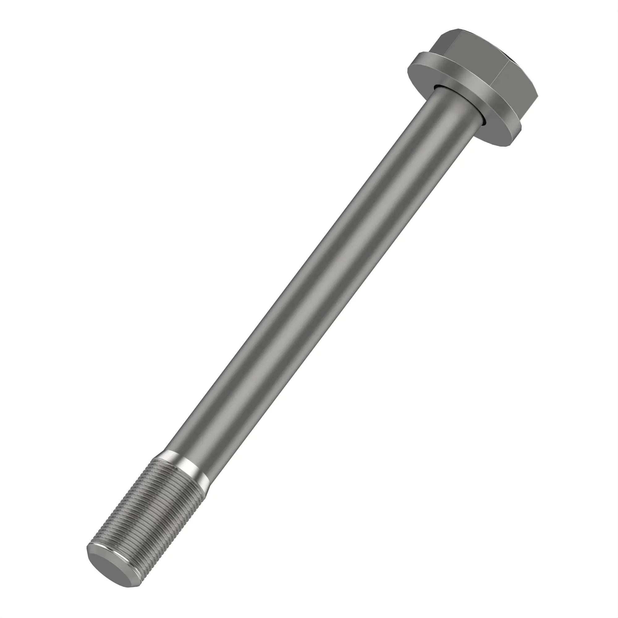 Screw With Washer