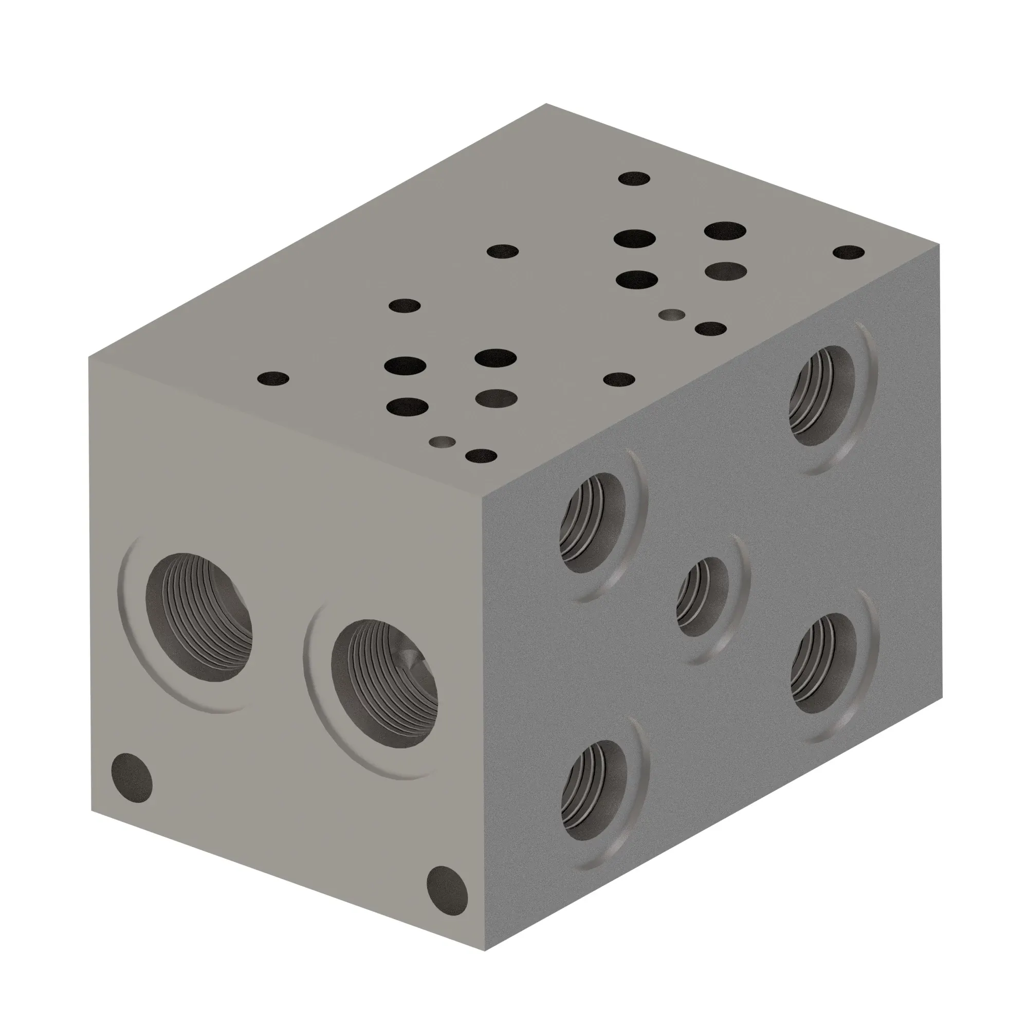 Manifold