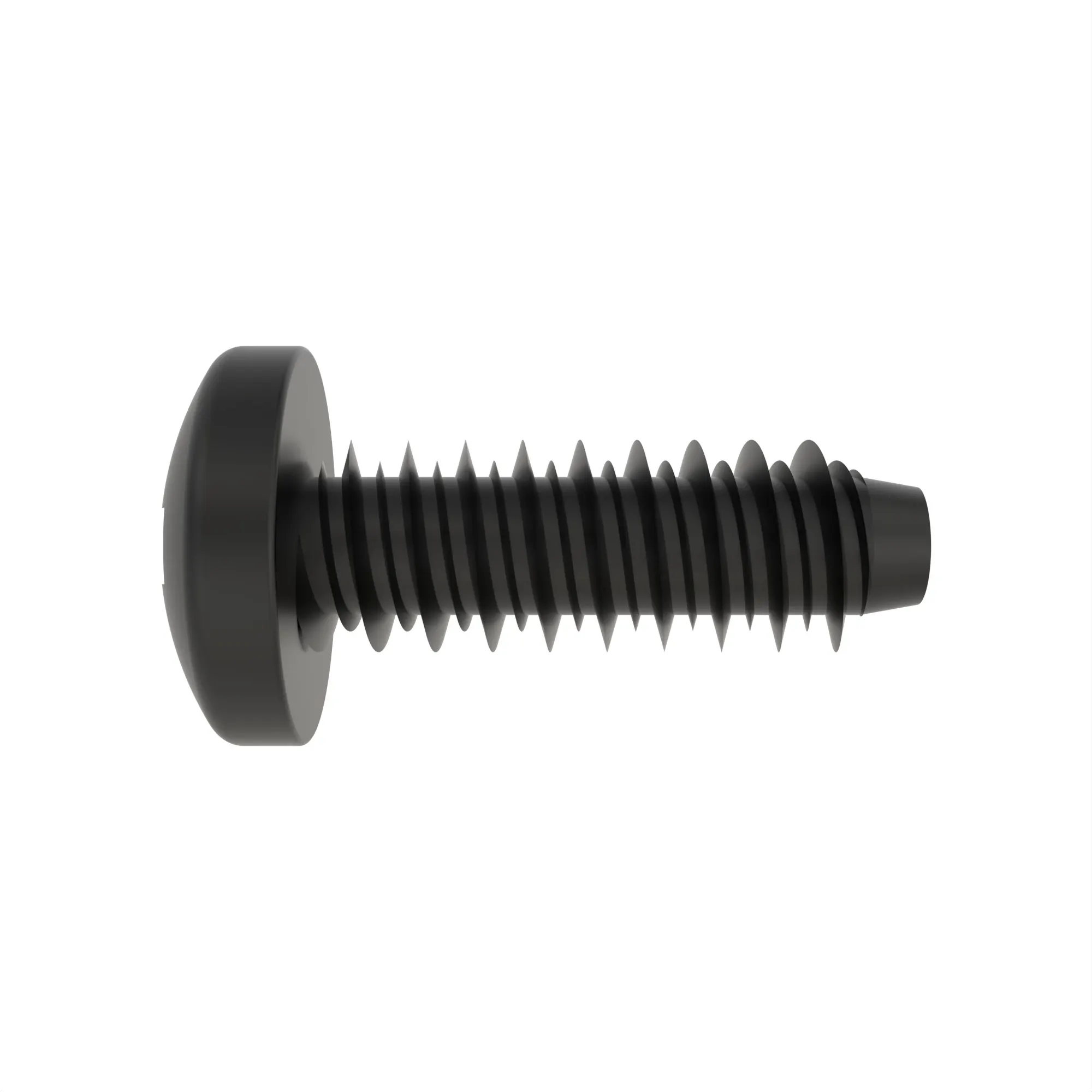Screw