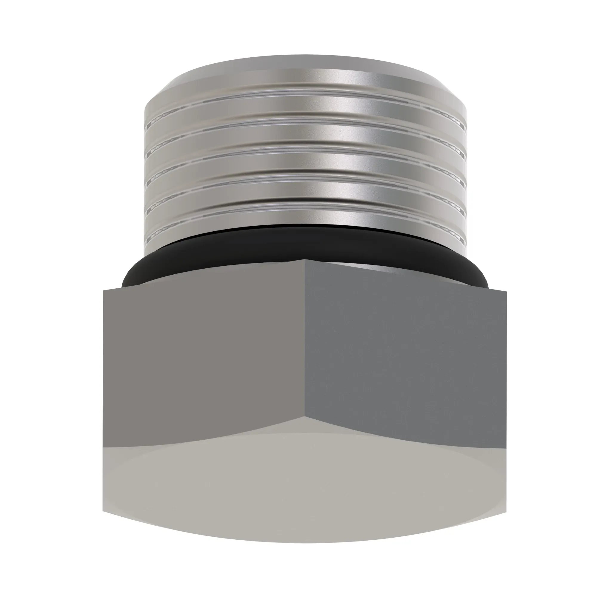 Fitting Plug