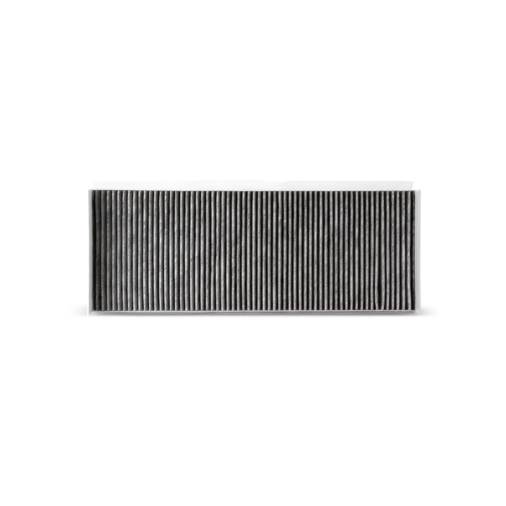 Fleetguard Activated Carbon Cab Air Filter - PMAF55719J