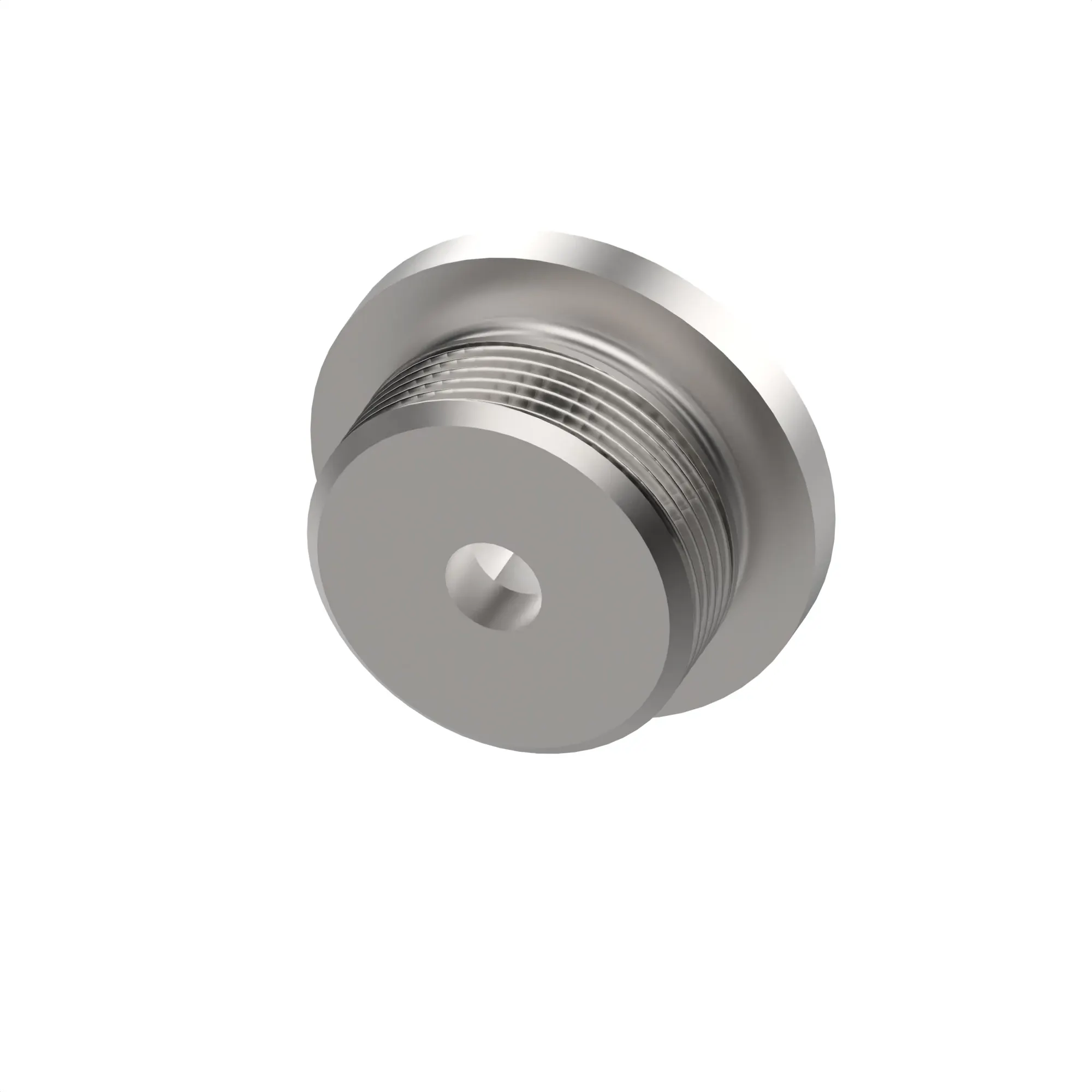 Fitting Plug