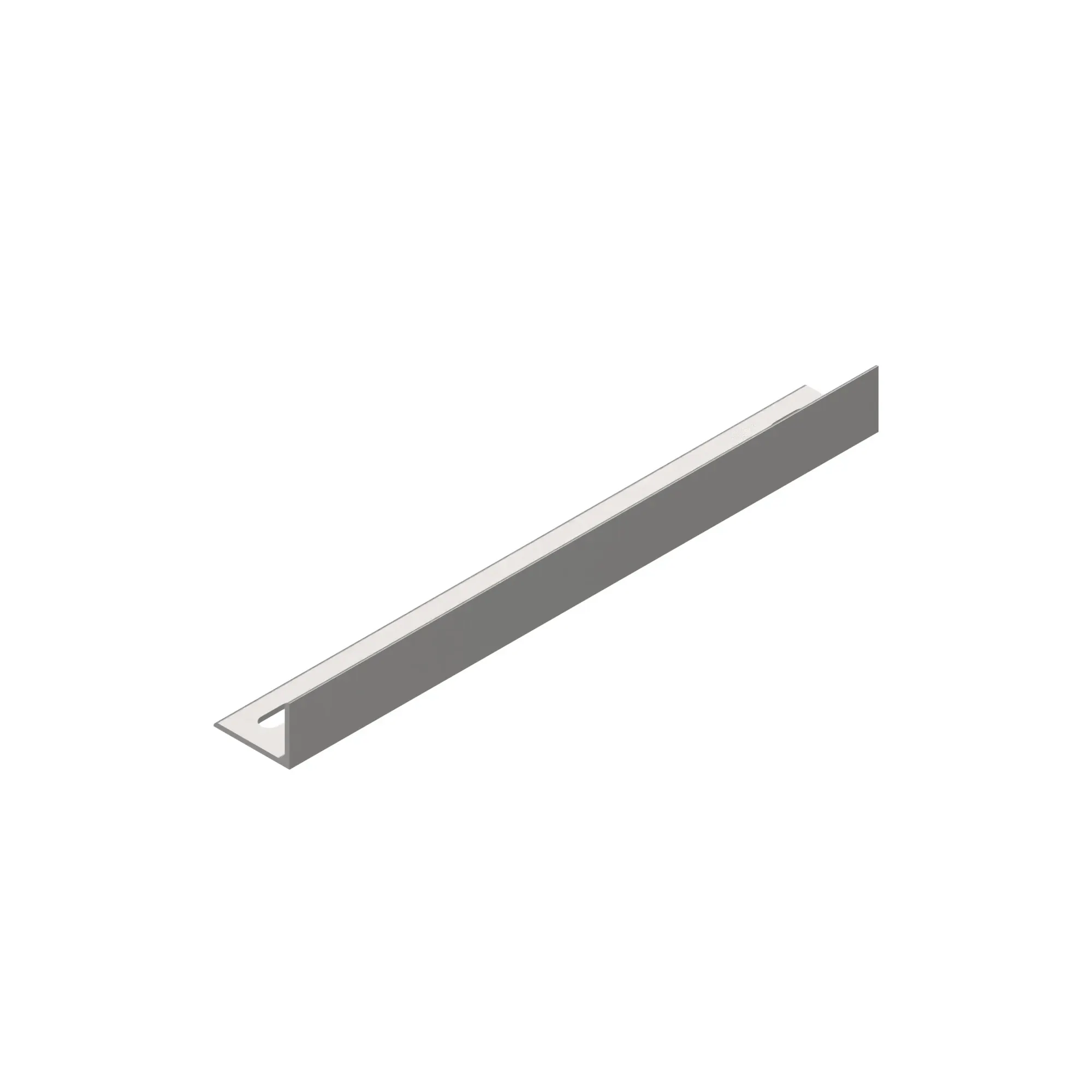 AI-TOP BOT WEARSTRIP RAIL