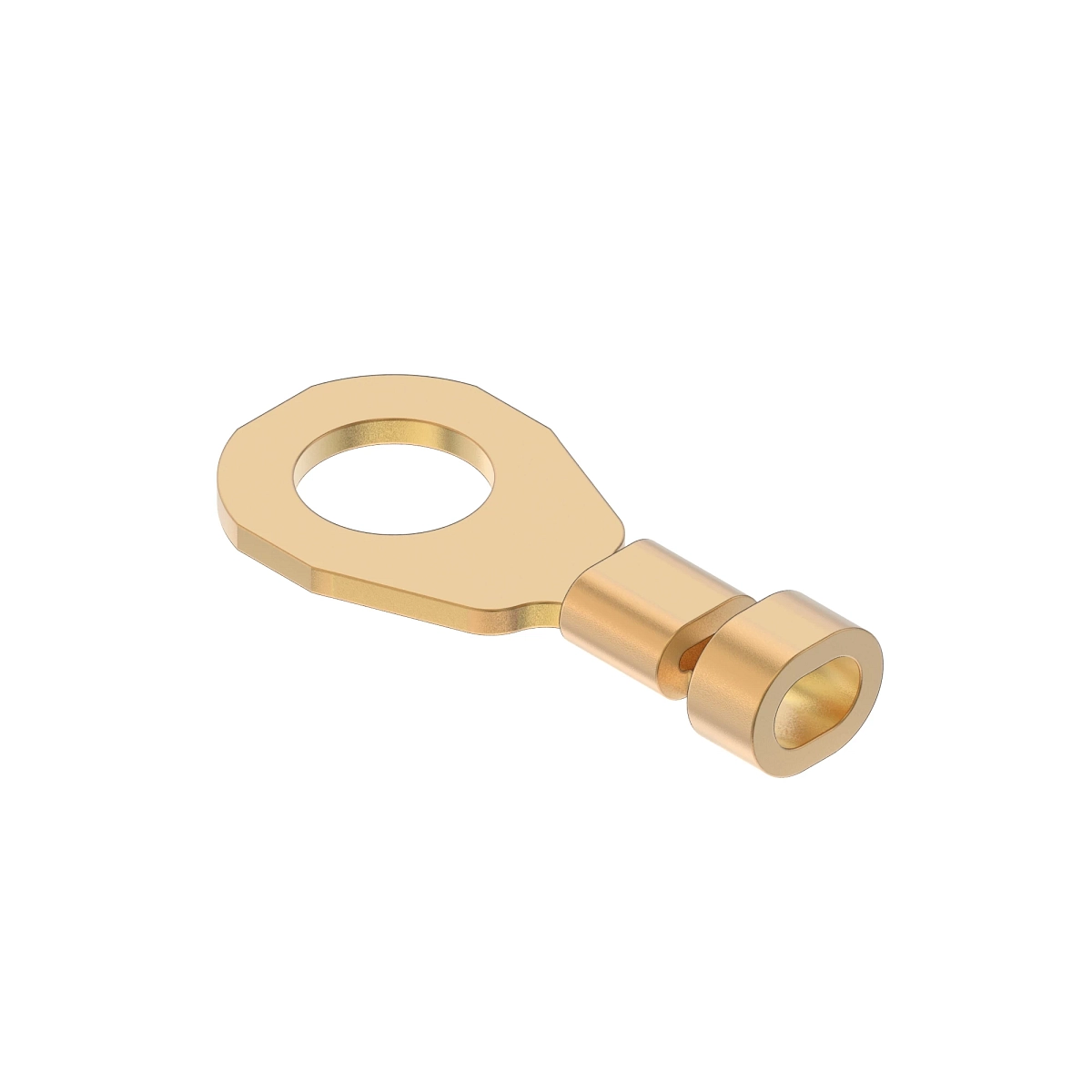Term Delphi Ring M5