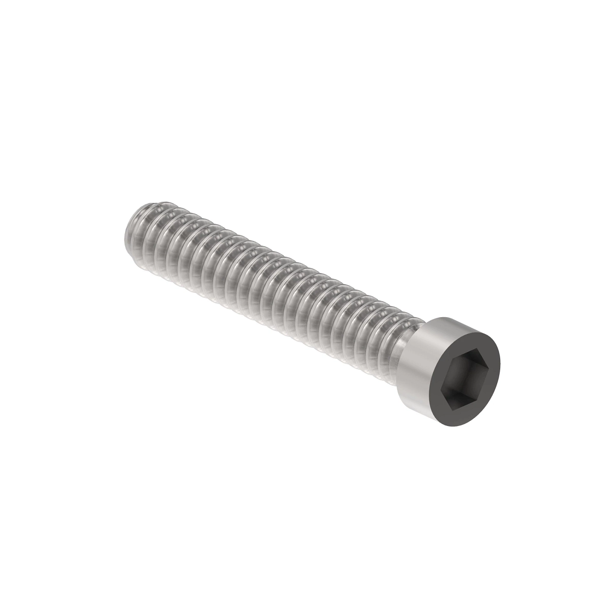 Bolt, Shcs, M22 X 2.5, 100 MM