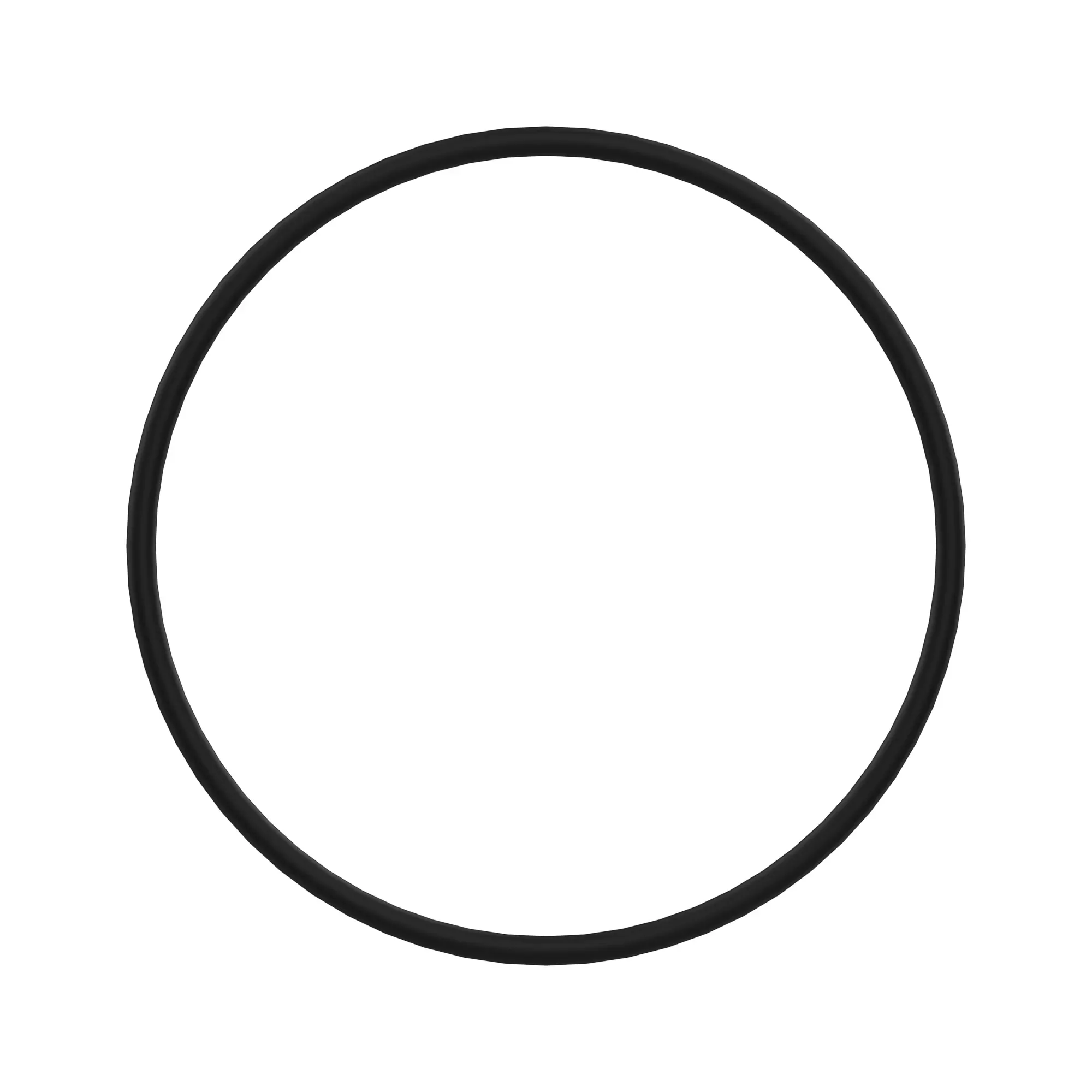 O-RING