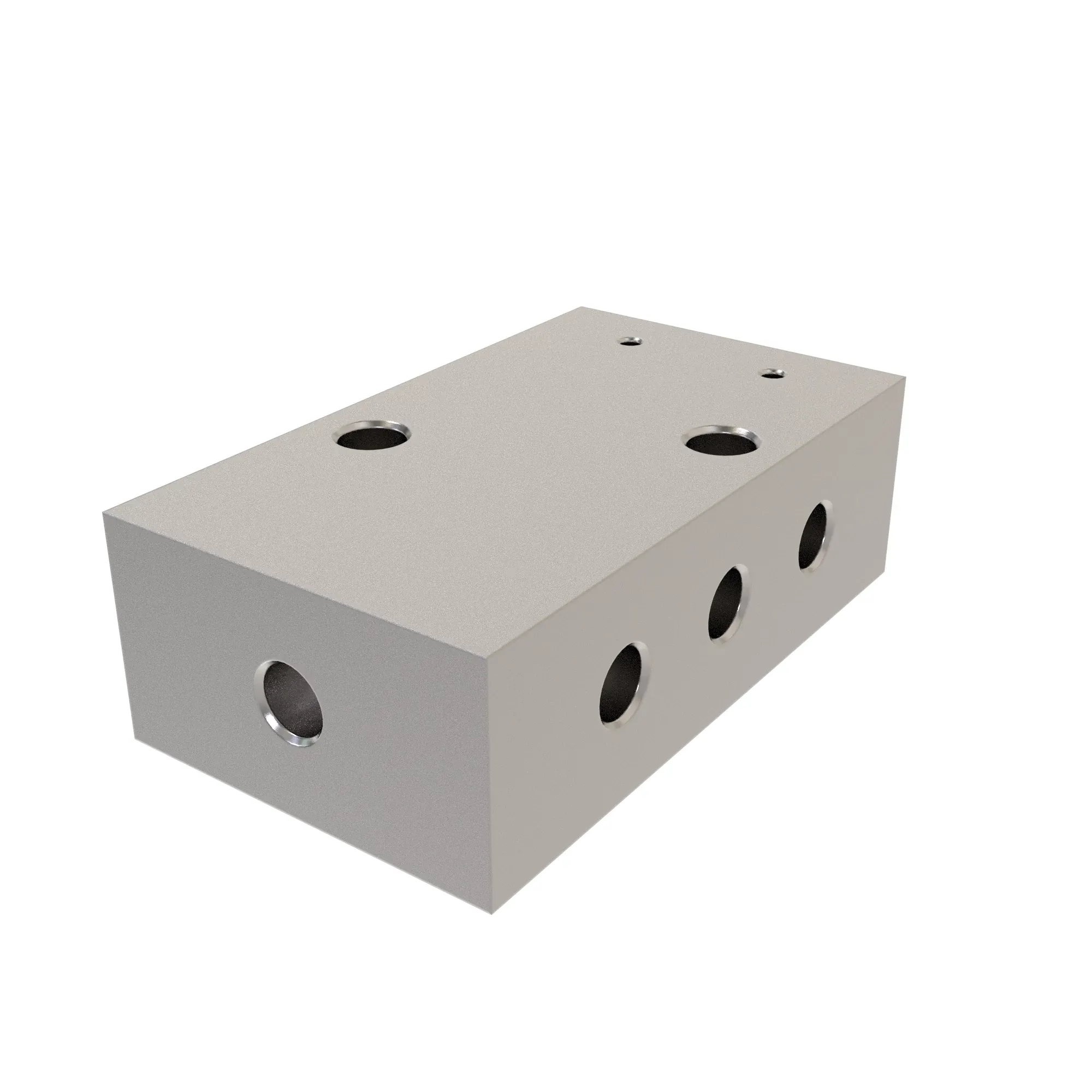 Manifold