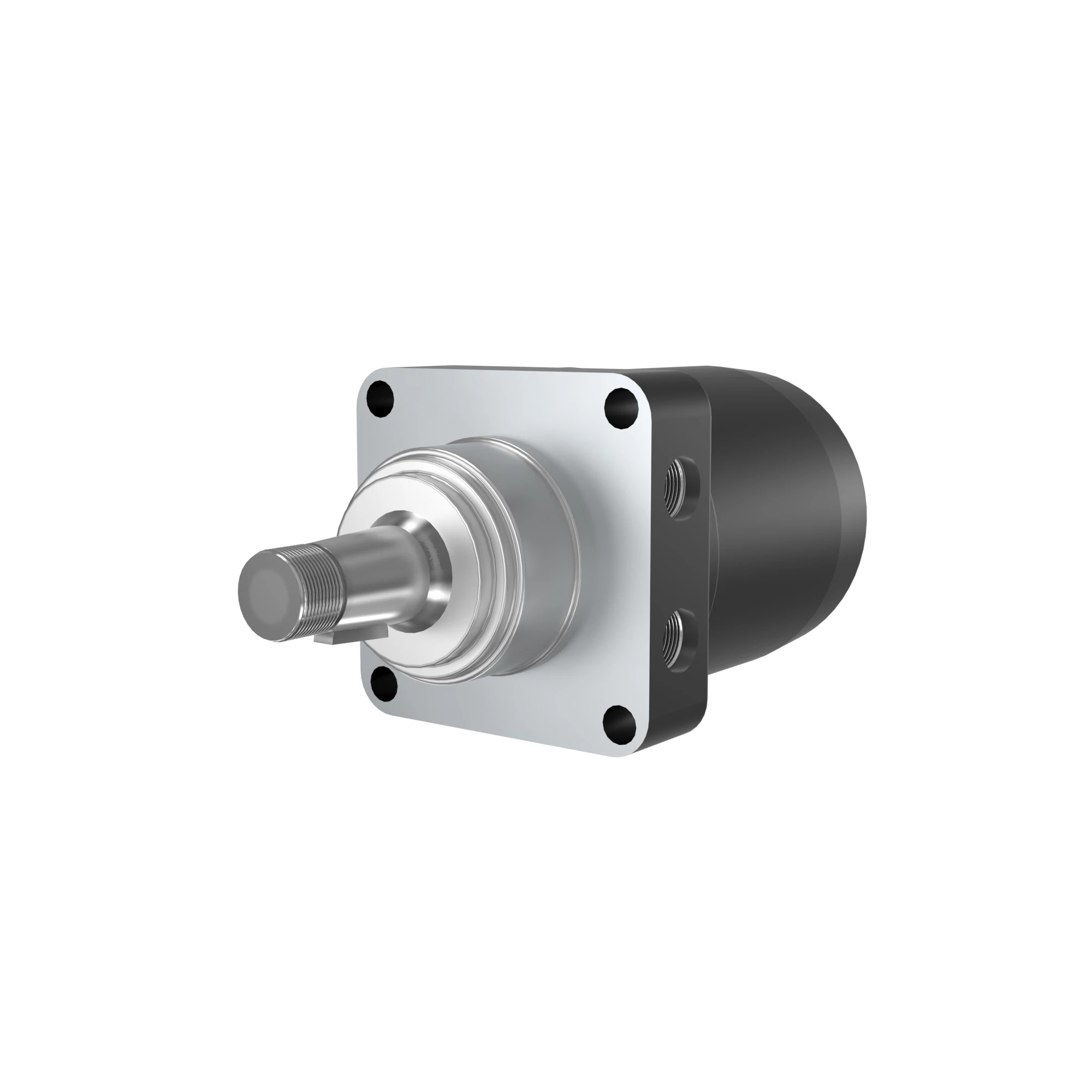 Hydraulic Motor