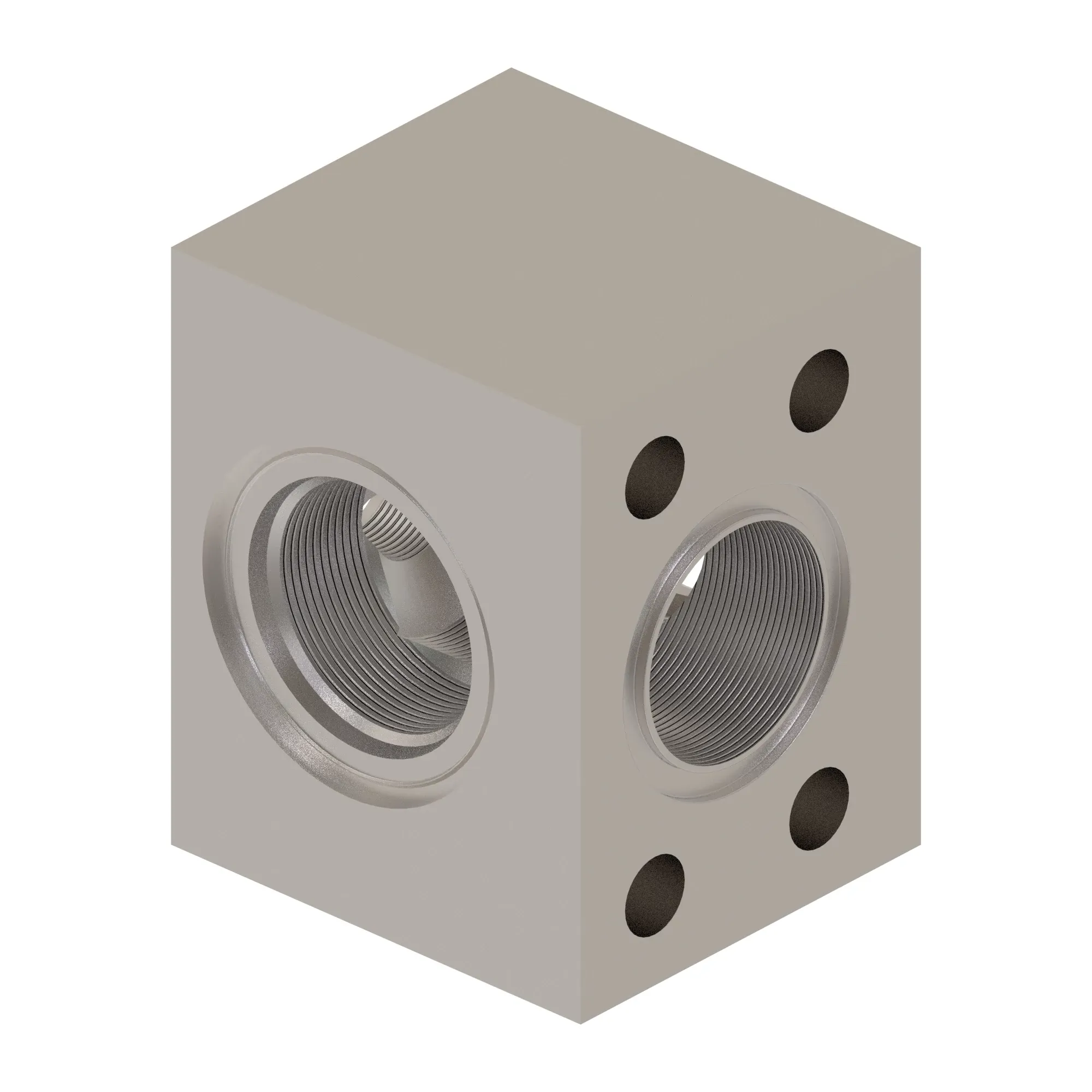 Manifold
