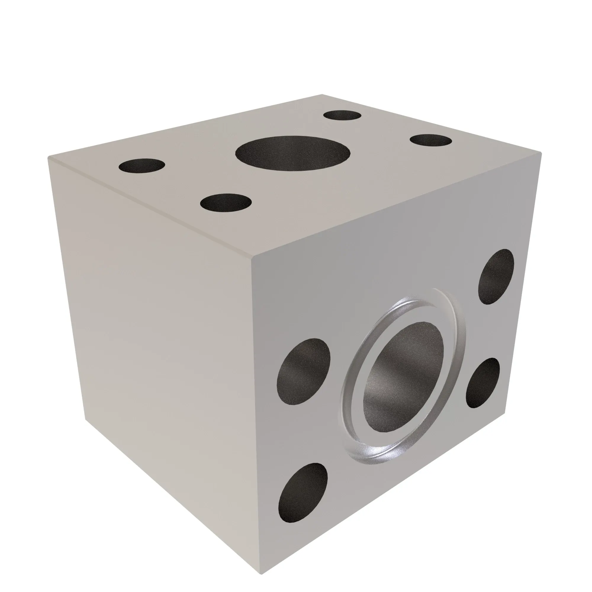 Manifold
