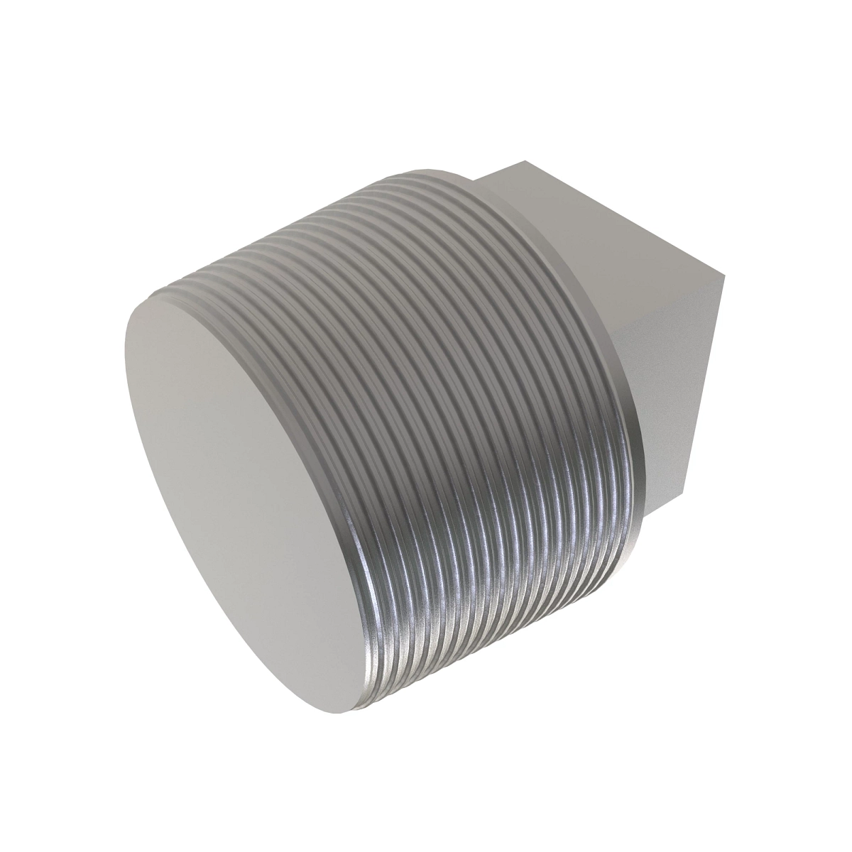 Fitting, Pipe Plug