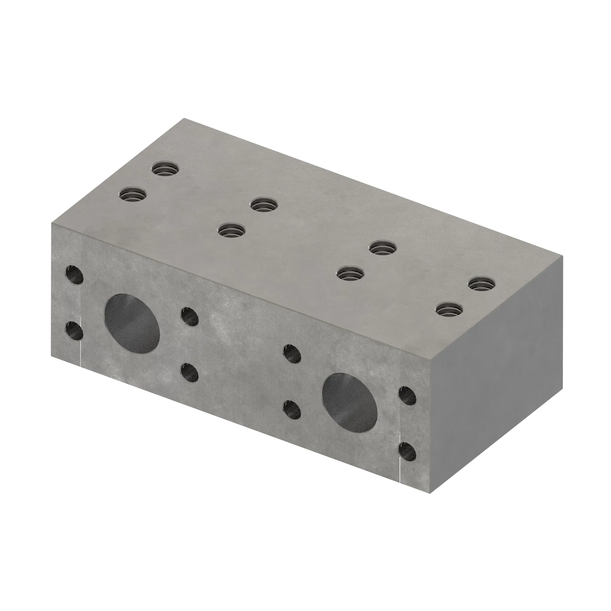 Manifold