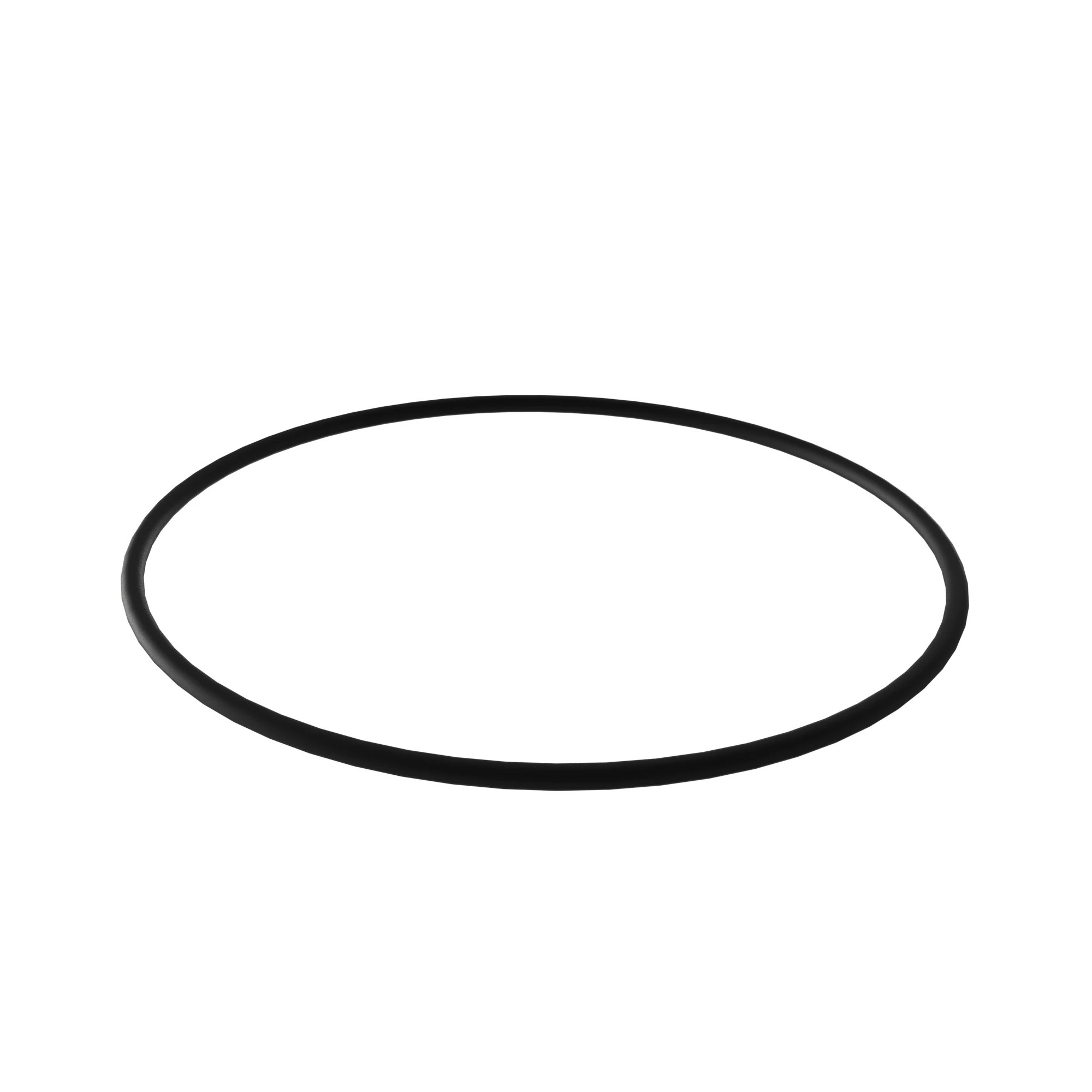O-RING