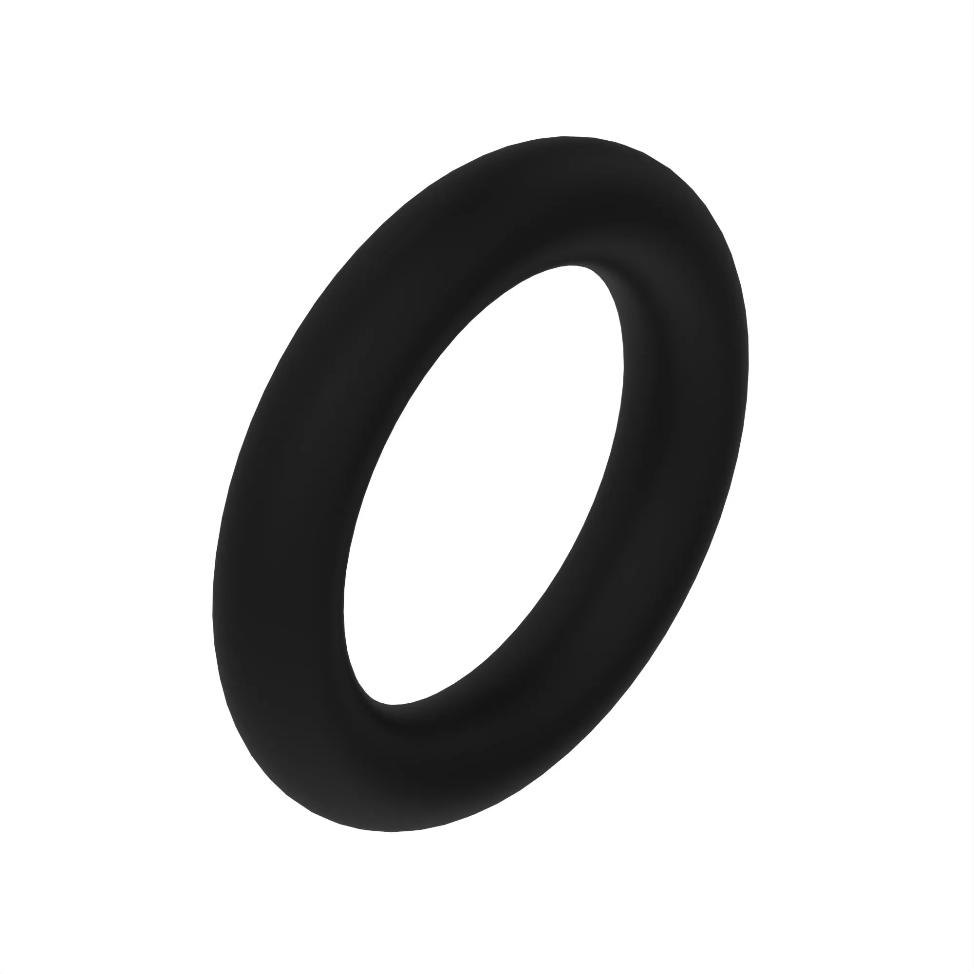 N209944: O-Ring
