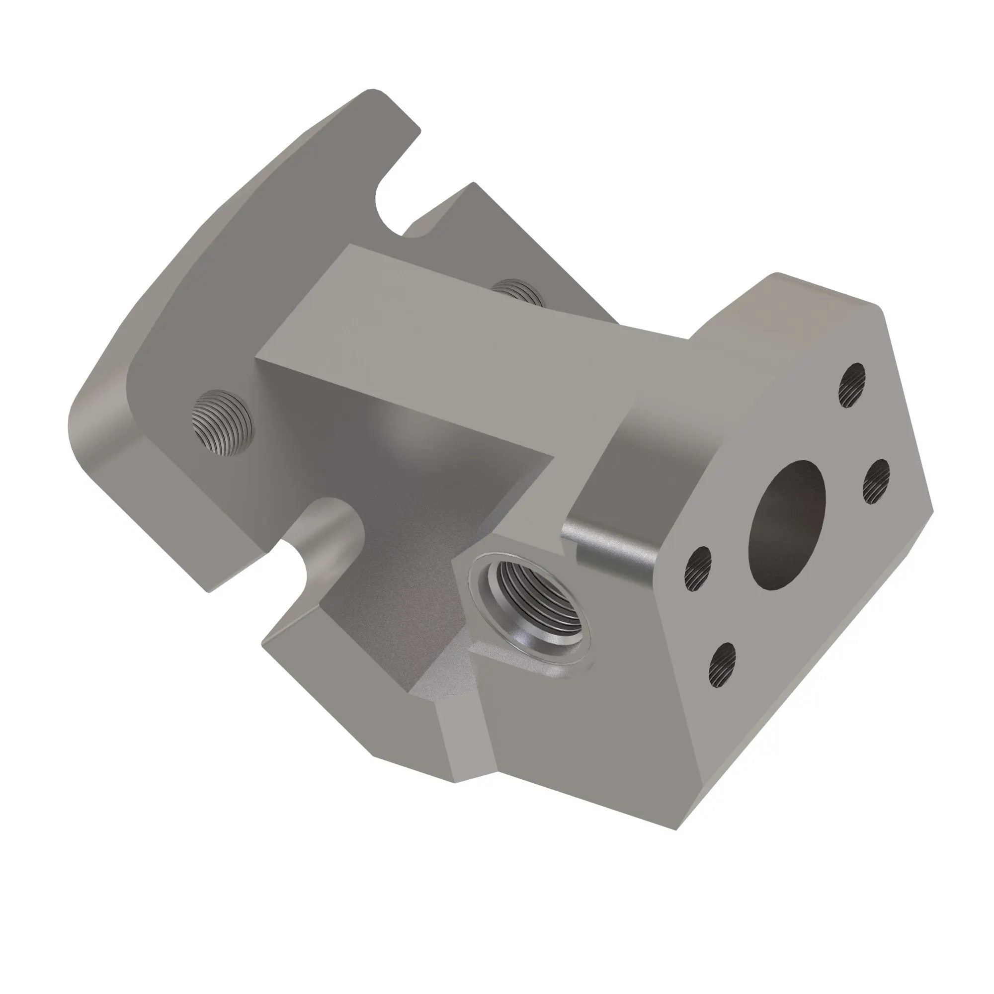 Manifold