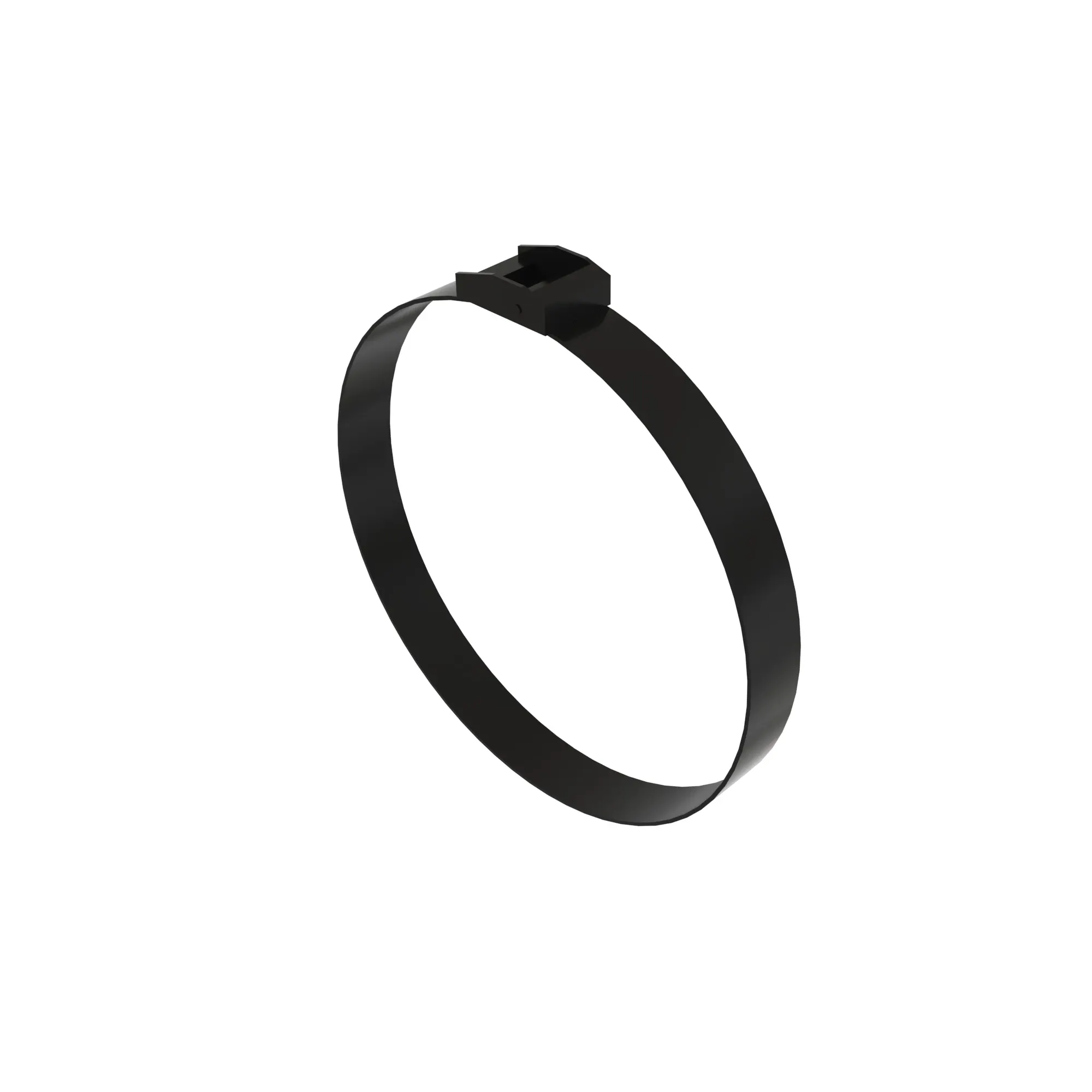 Strap With Buckle