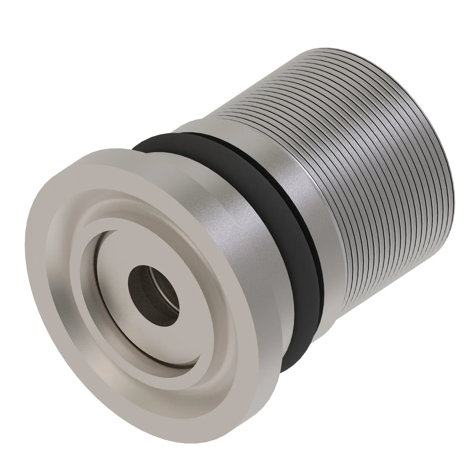 Check Valve
