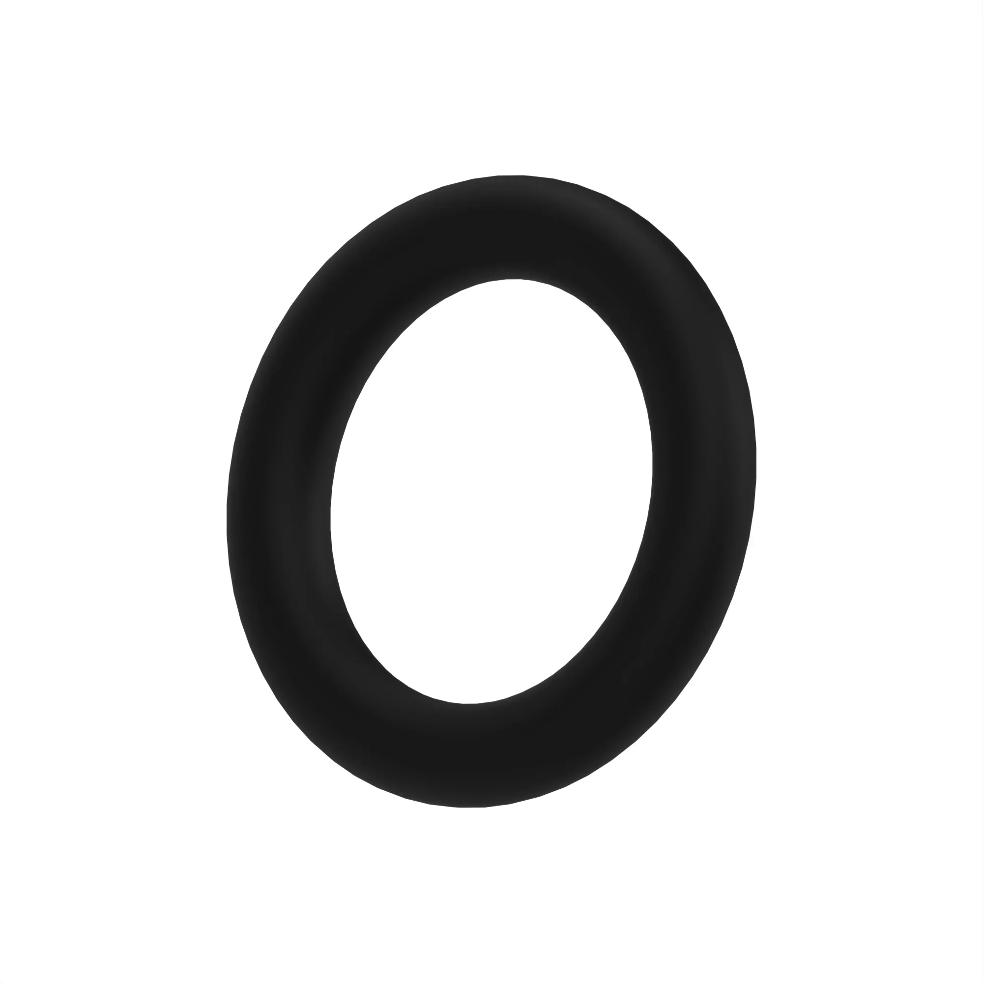 O-Ring