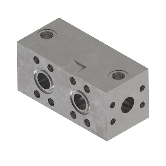 Manifold
