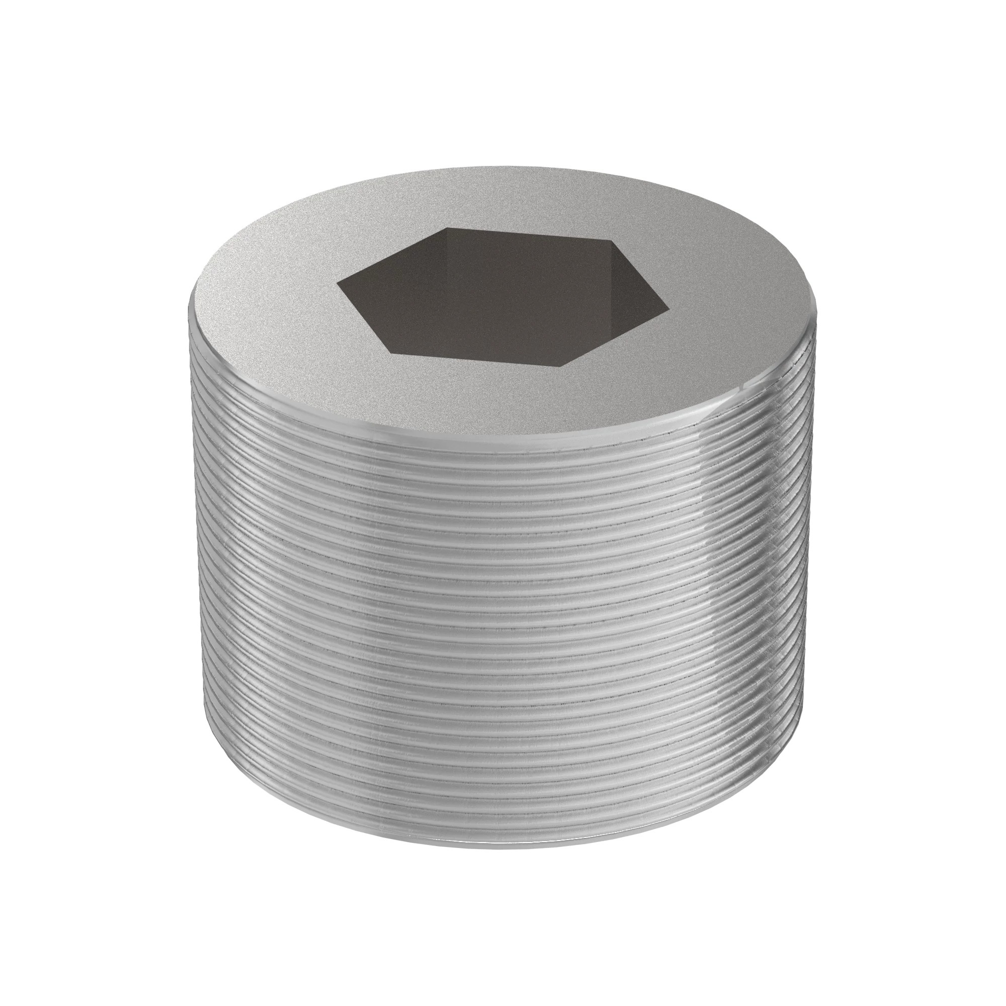PIPE PLUG