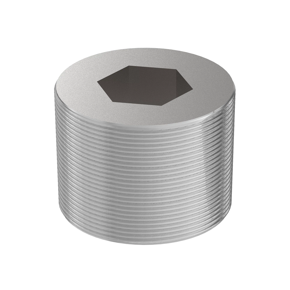 Pipe Plug