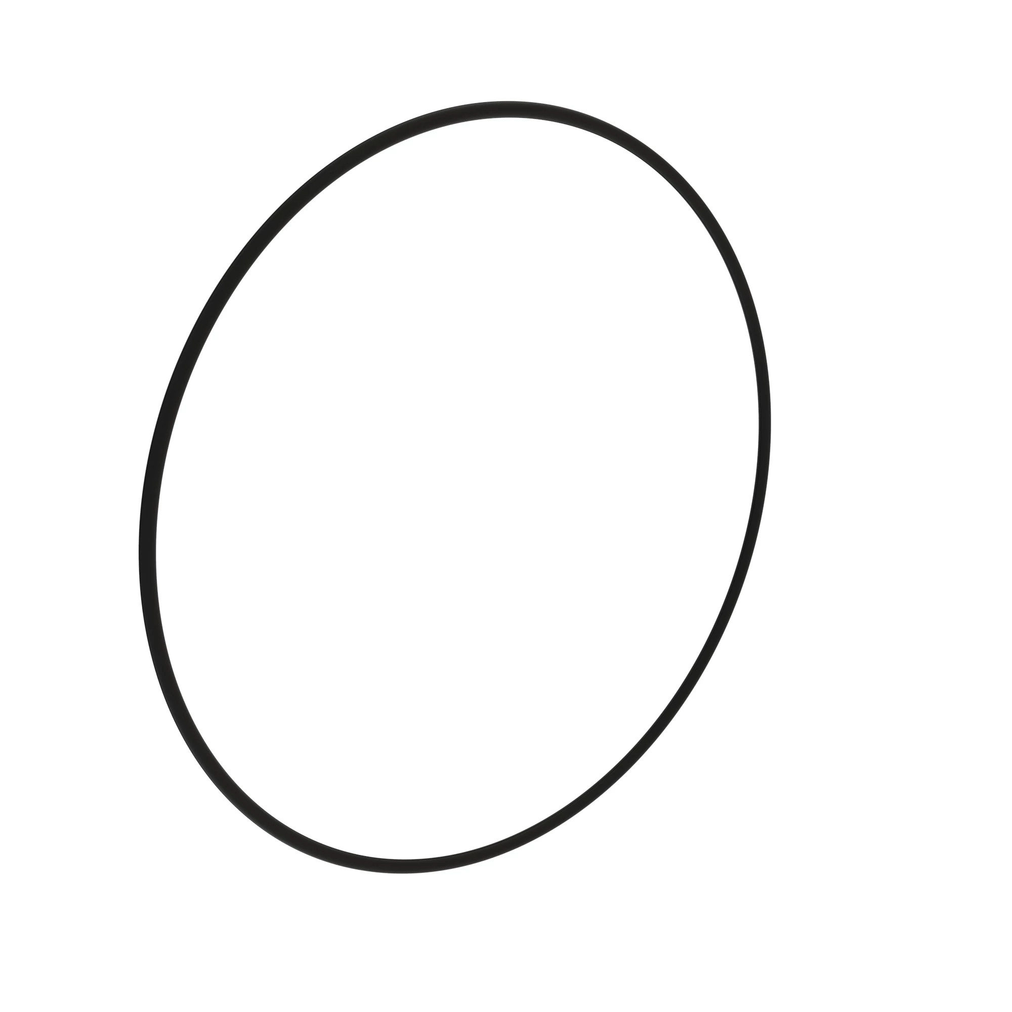 O-RING