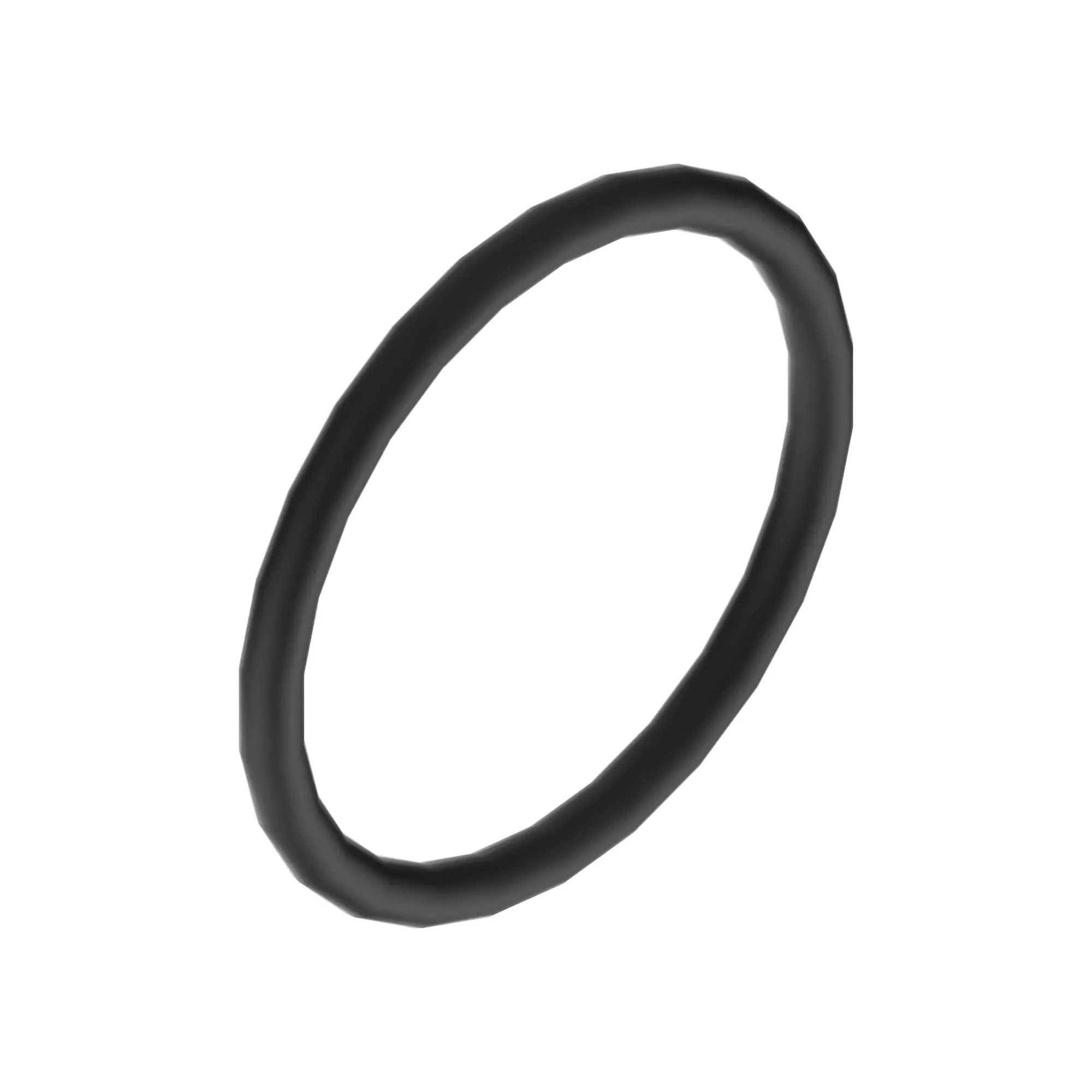 O-Ring