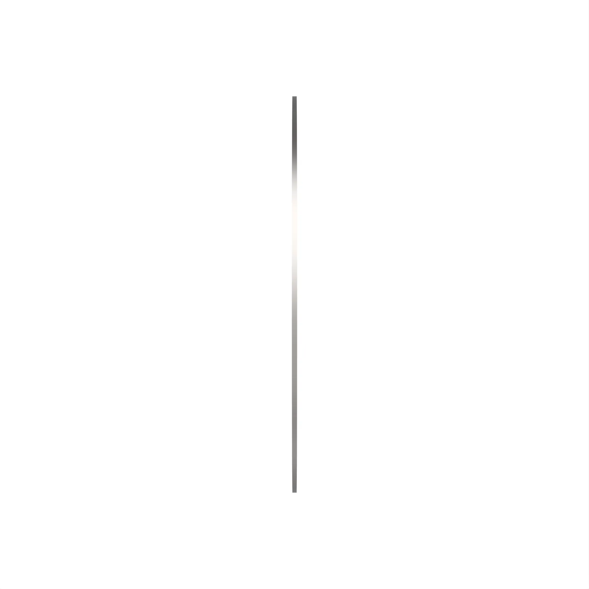 Thrust Bearing Race