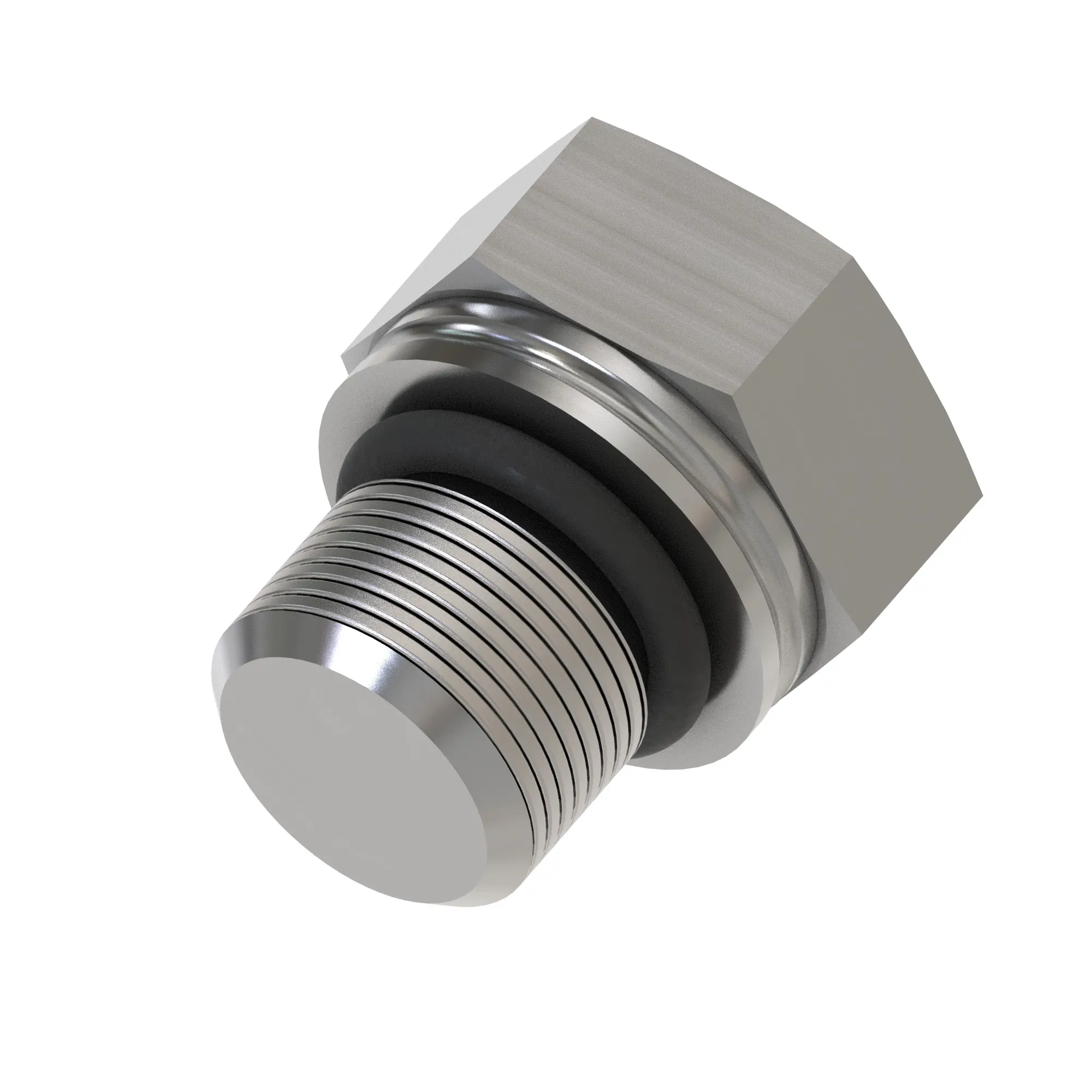 Fitting Plug