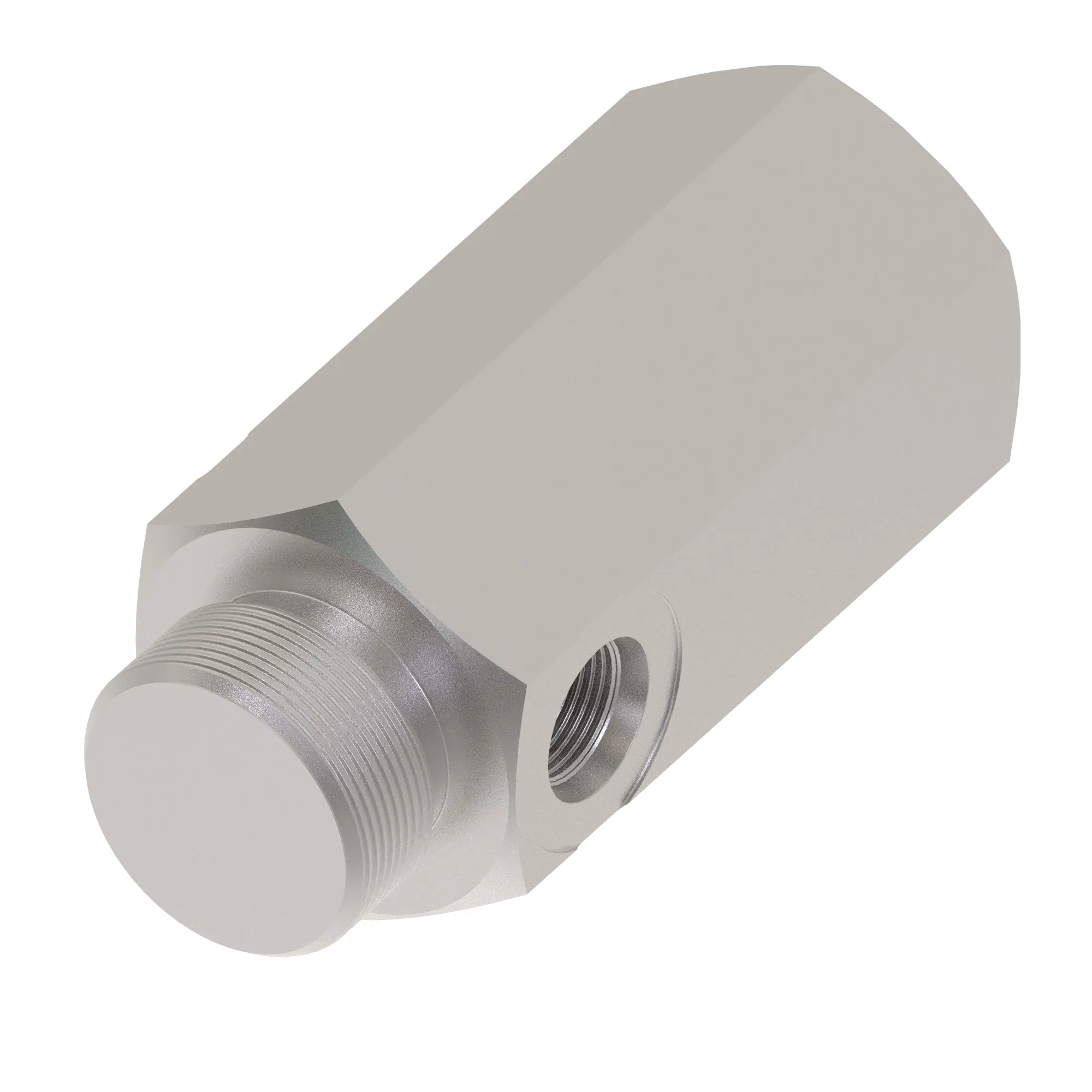 Check Valve