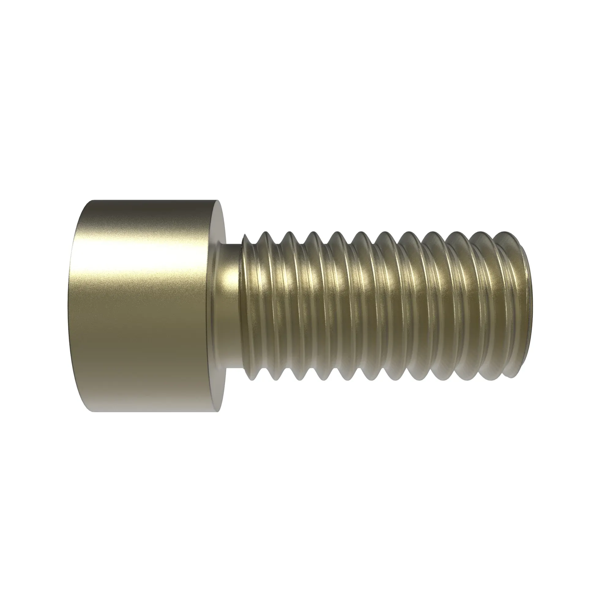 Screw