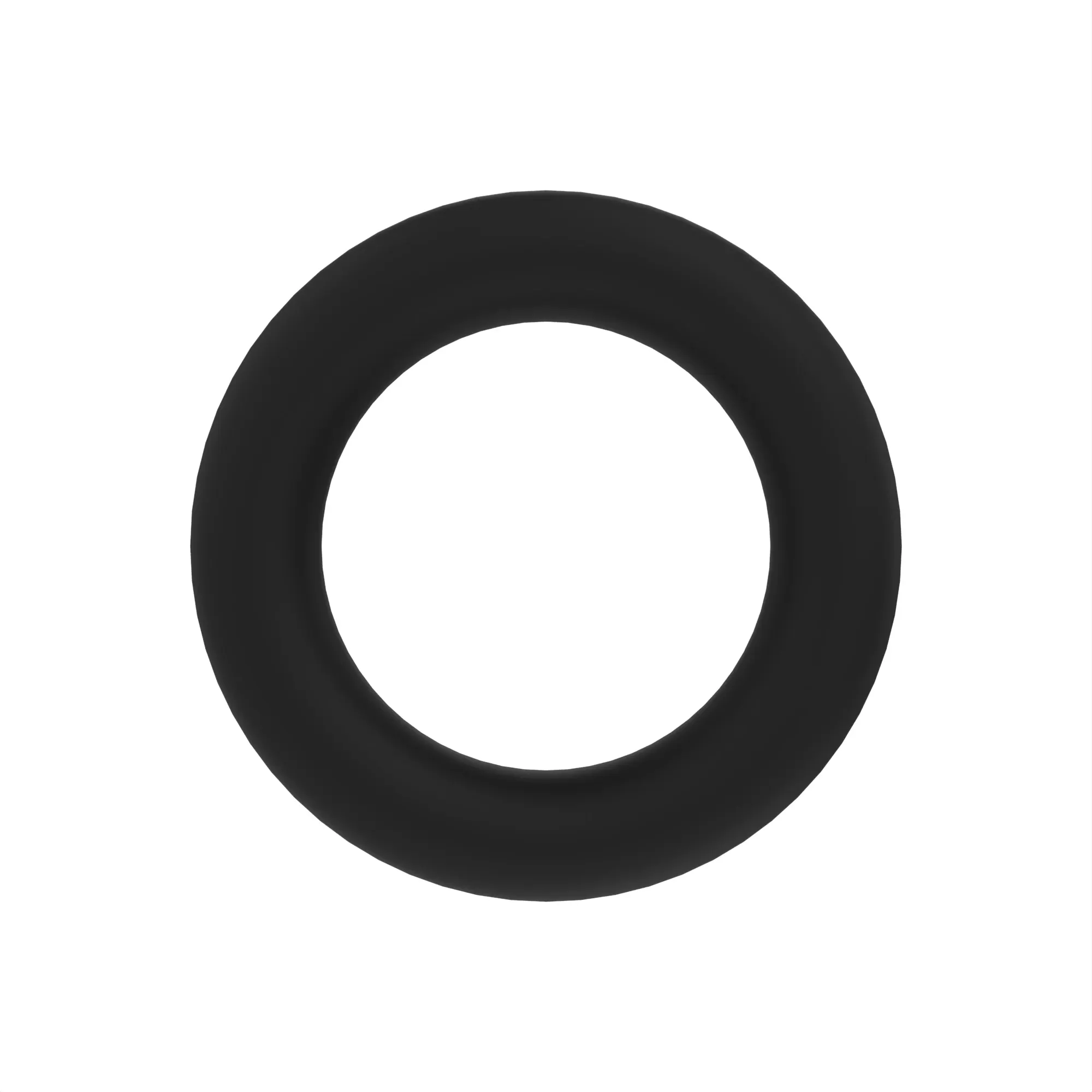 O-Ring